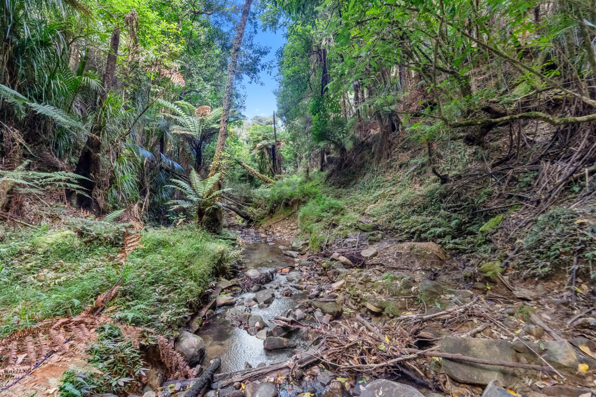 166 Mountain Road, MAUNGATUROTO