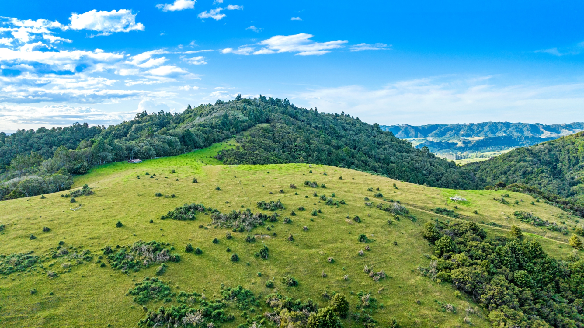 166 Mountain Road, MAUNGATUROTO