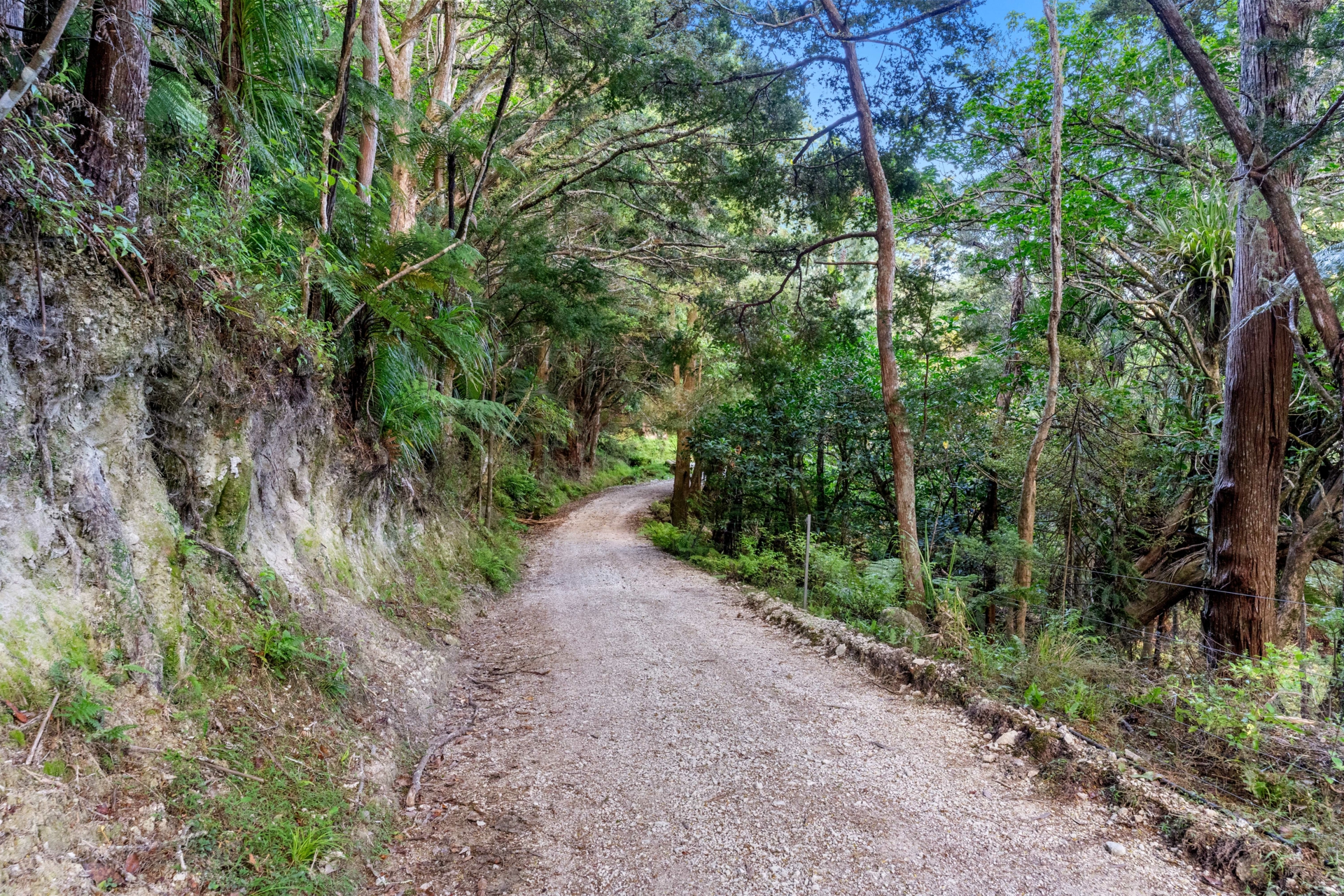 166 Mountain Road, MAUNGATUROTO