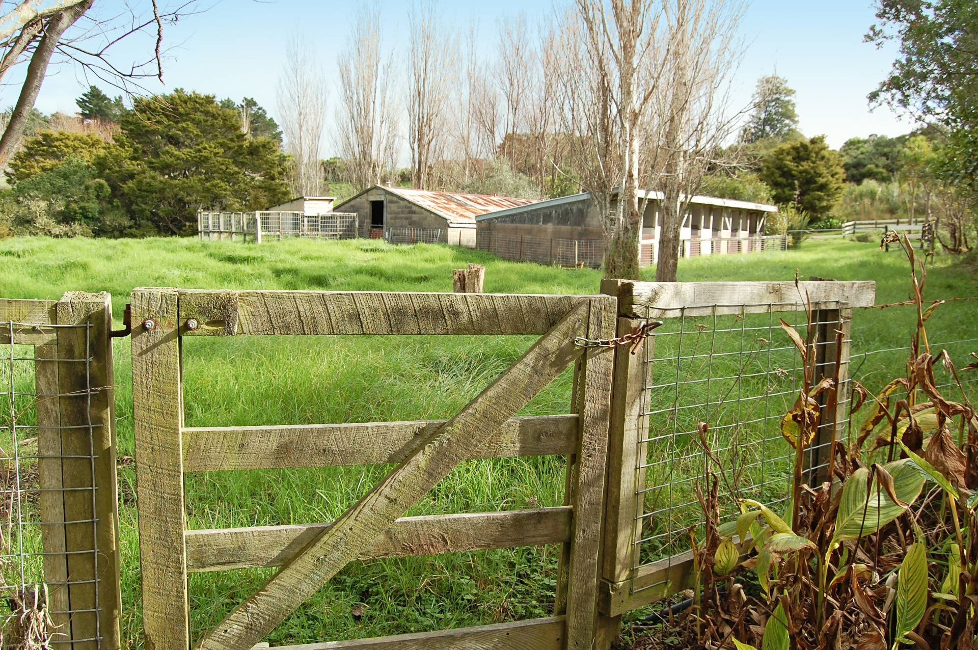 93 Whaka Street, MAUNGATUROTO