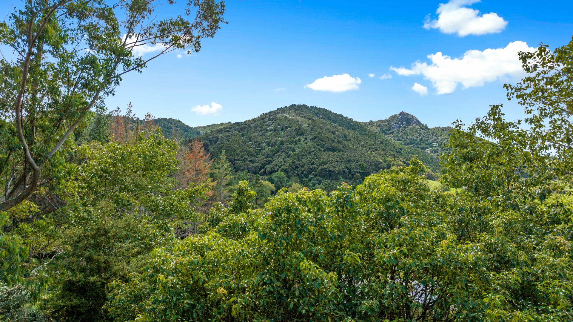2395F State Highway 1, KAIWAKA