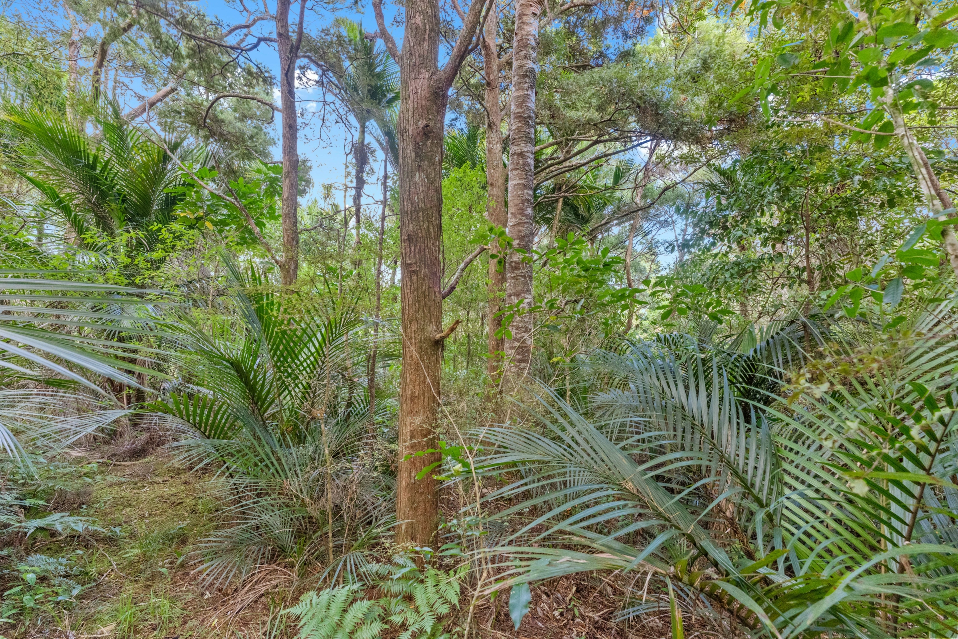2395F State Highway 1, KAIWAKA