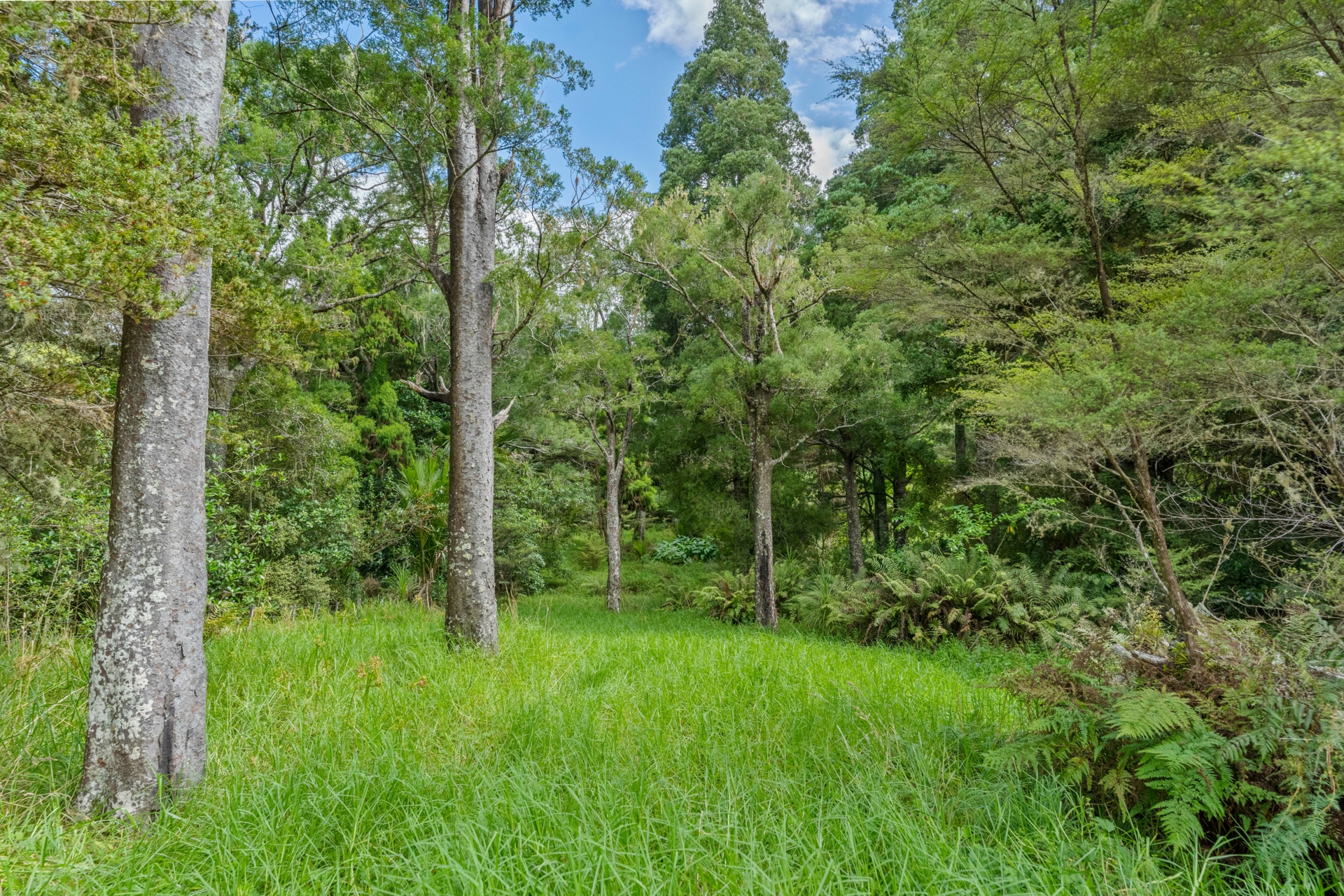 2395F State Highway 1, KAIWAKA