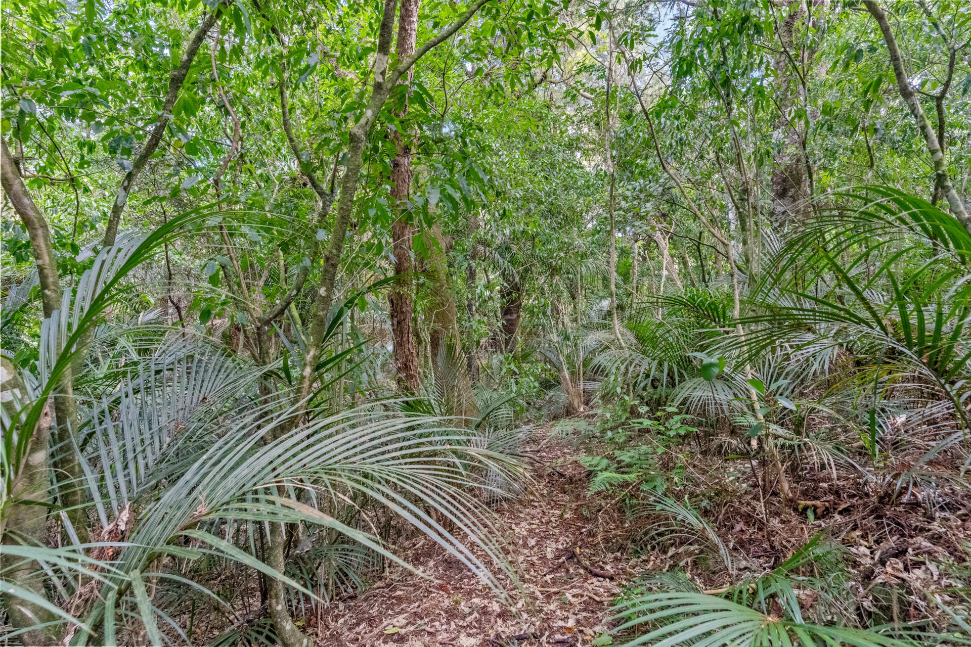 2395F State Highway 1, KAIWAKA