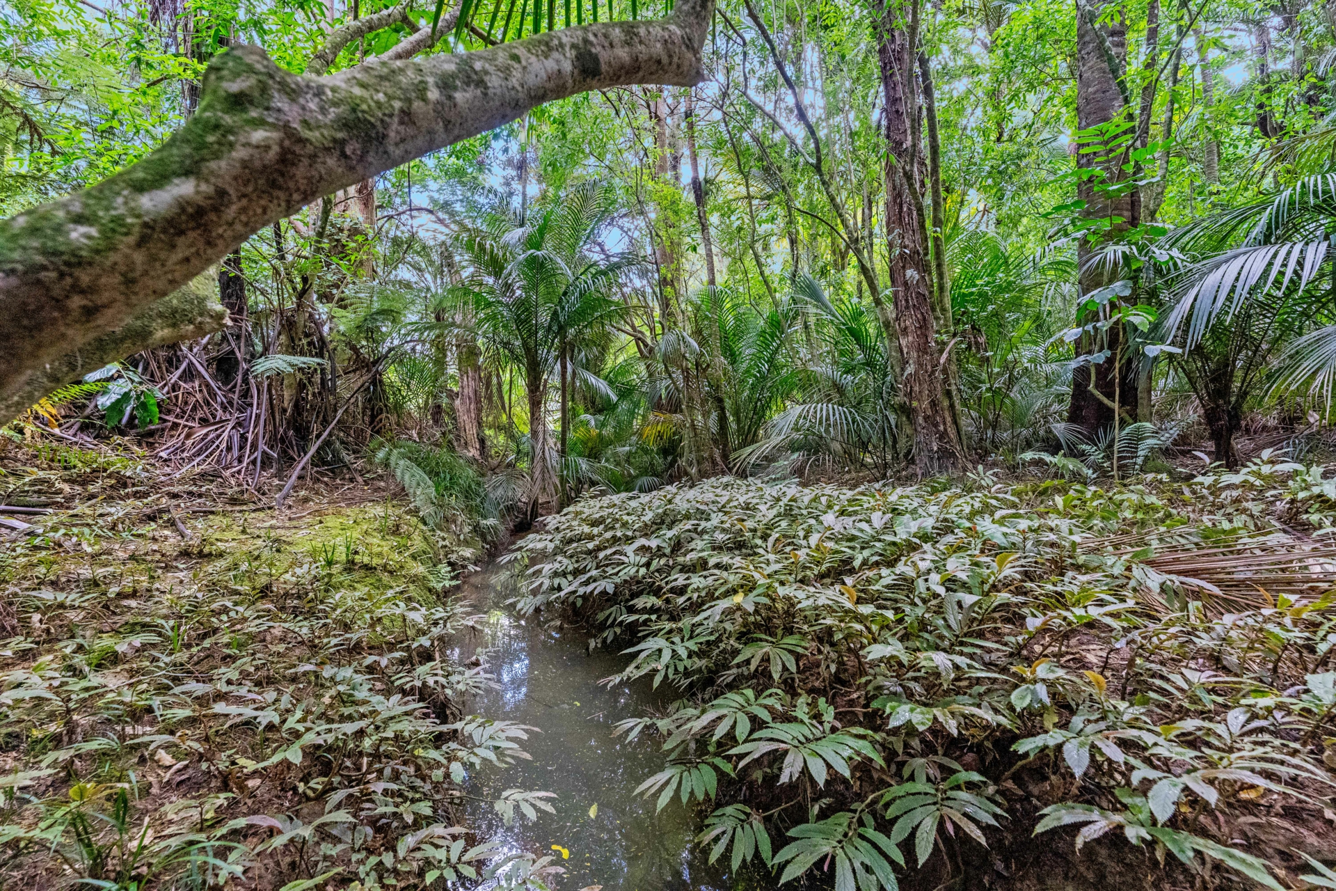 2395F State Highway 1, KAIWAKA