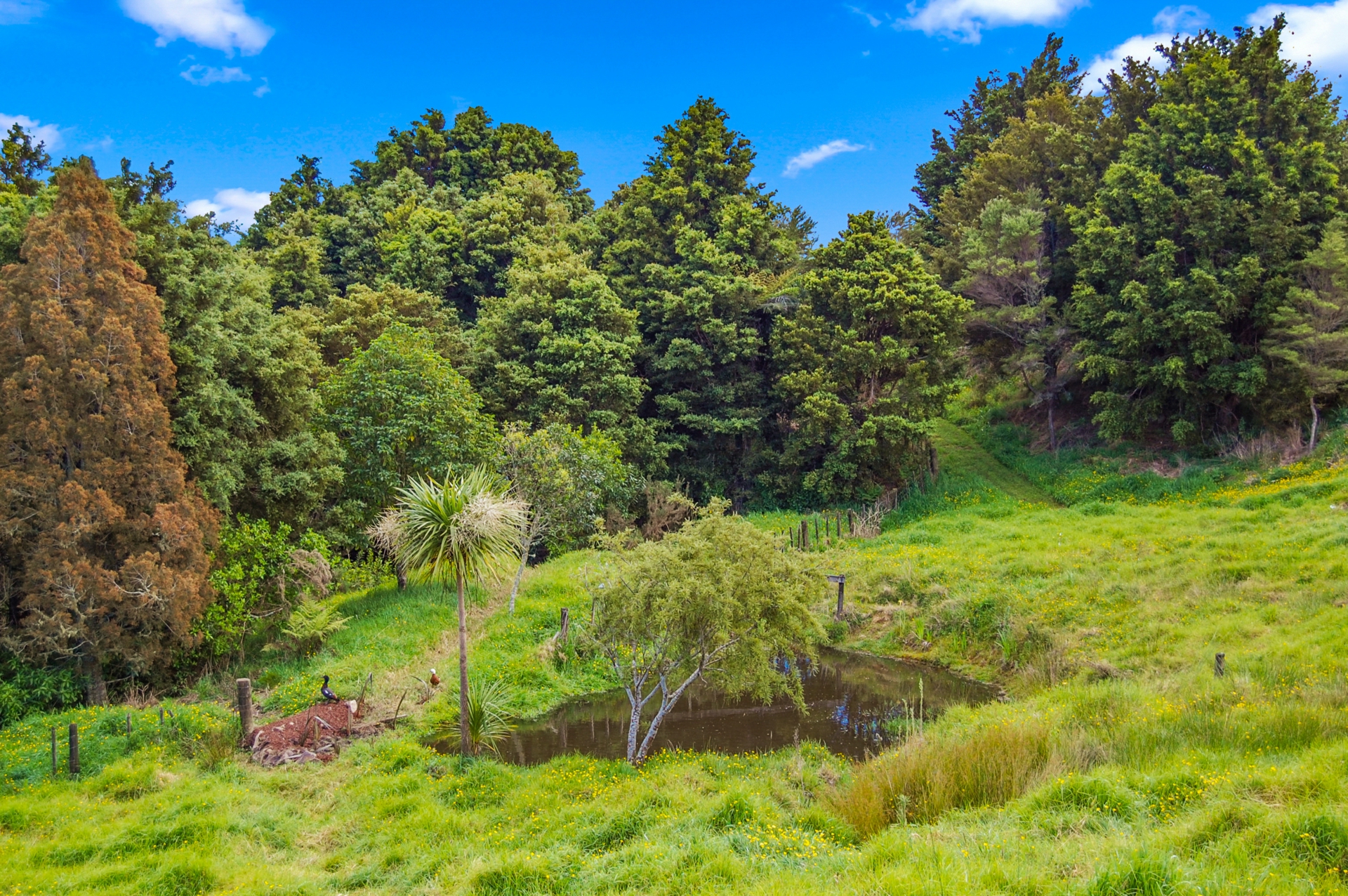 112 Tawa Avenue, KAIWAKA