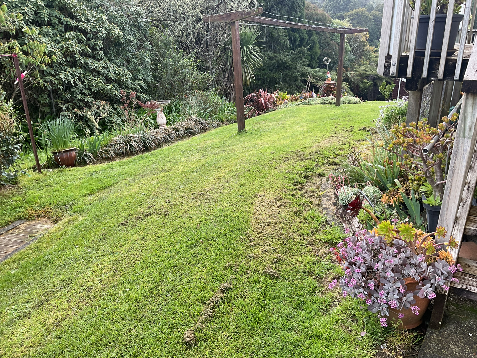 26 Victoria Street Warkworth House for Rent LJ Hooker