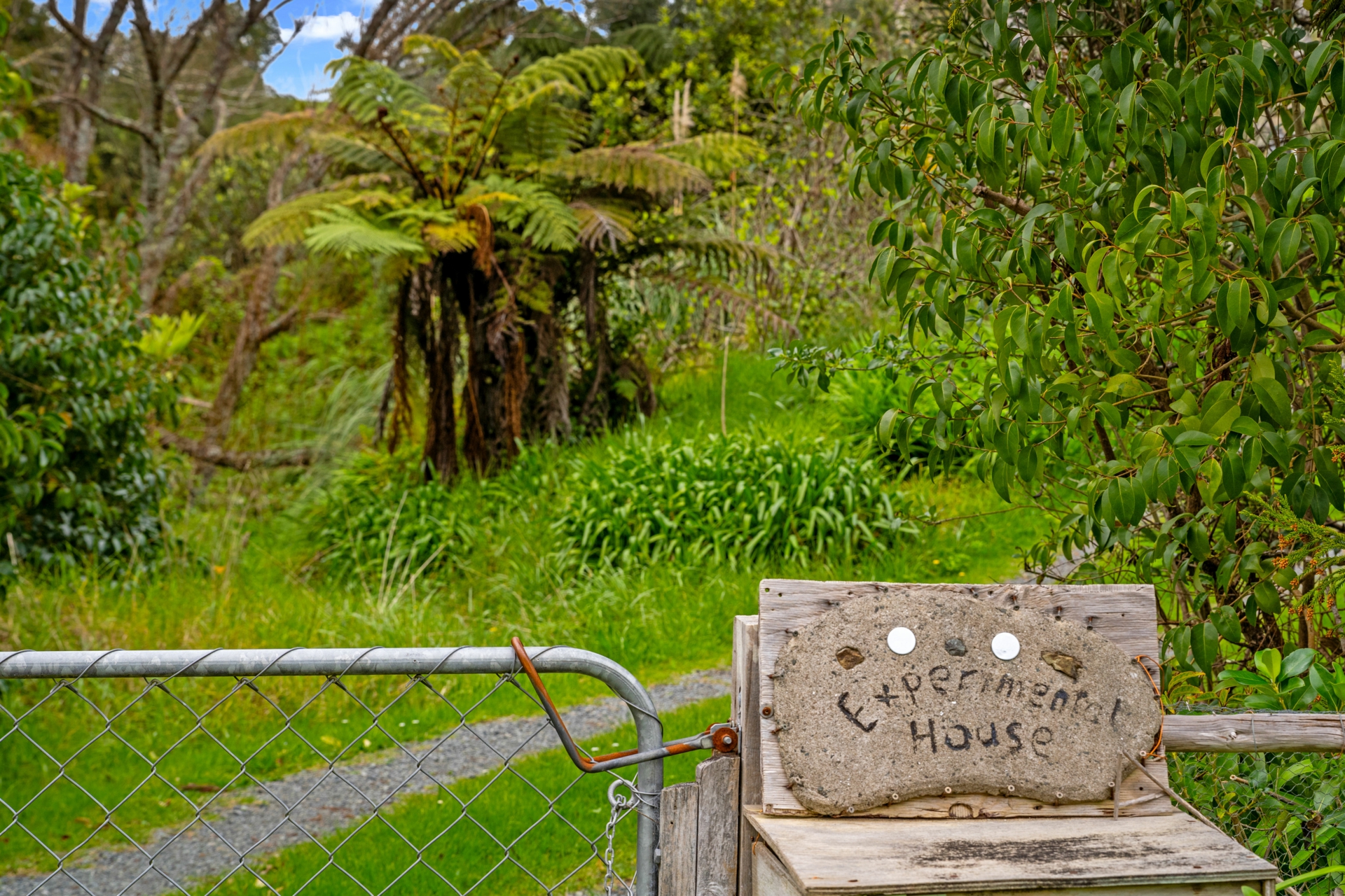 110 Gibbons Road Kaiwaka Lifestyle for Sale LJ Hooker