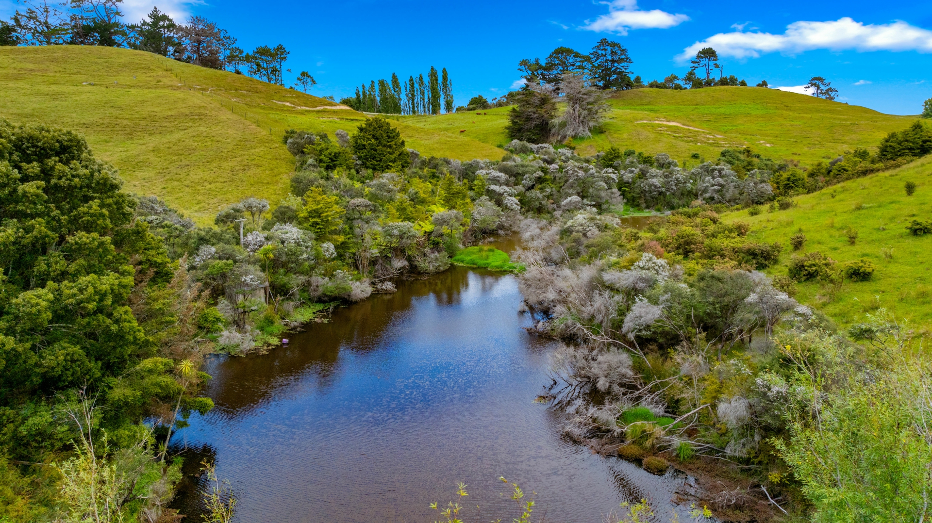 384 J V Grant Road, WELLSFORD