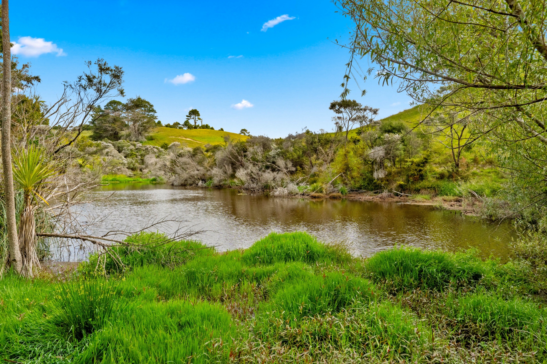 384 J V Grant Road, WELLSFORD