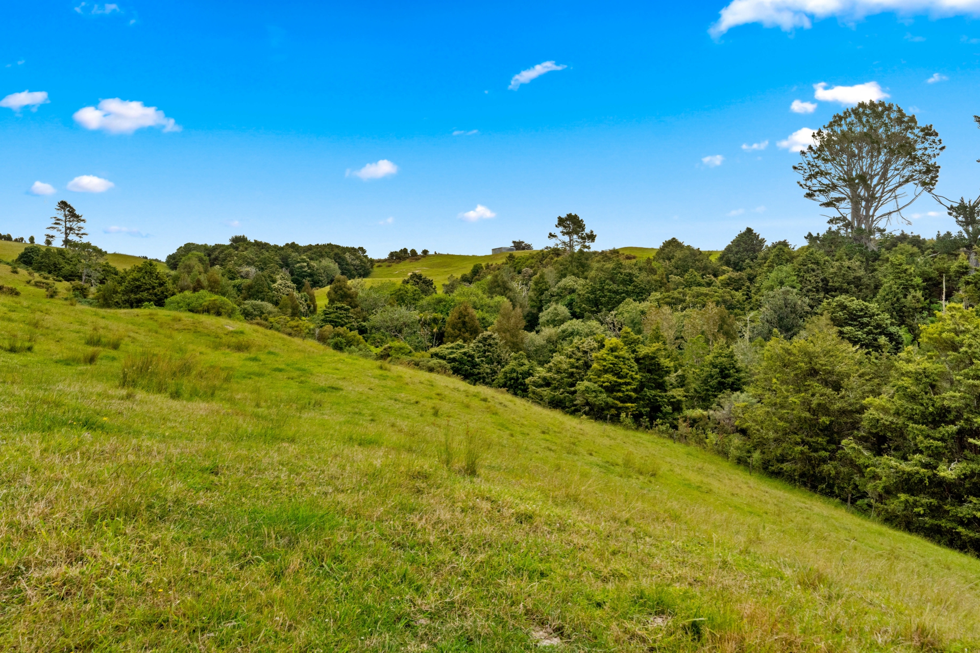 384 J V Grant Road, WELLSFORD