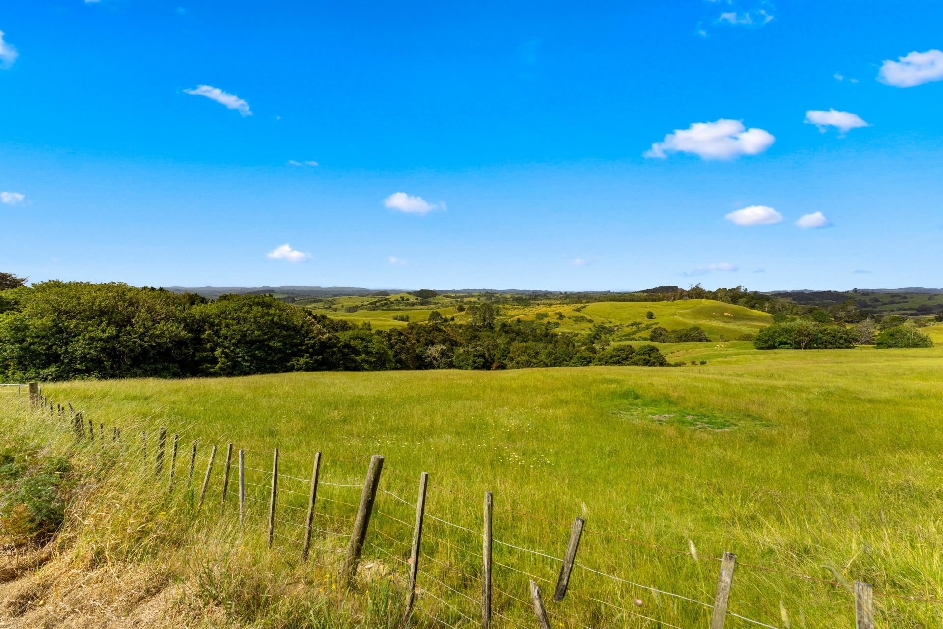 384 J V Grant Road, WELLSFORD