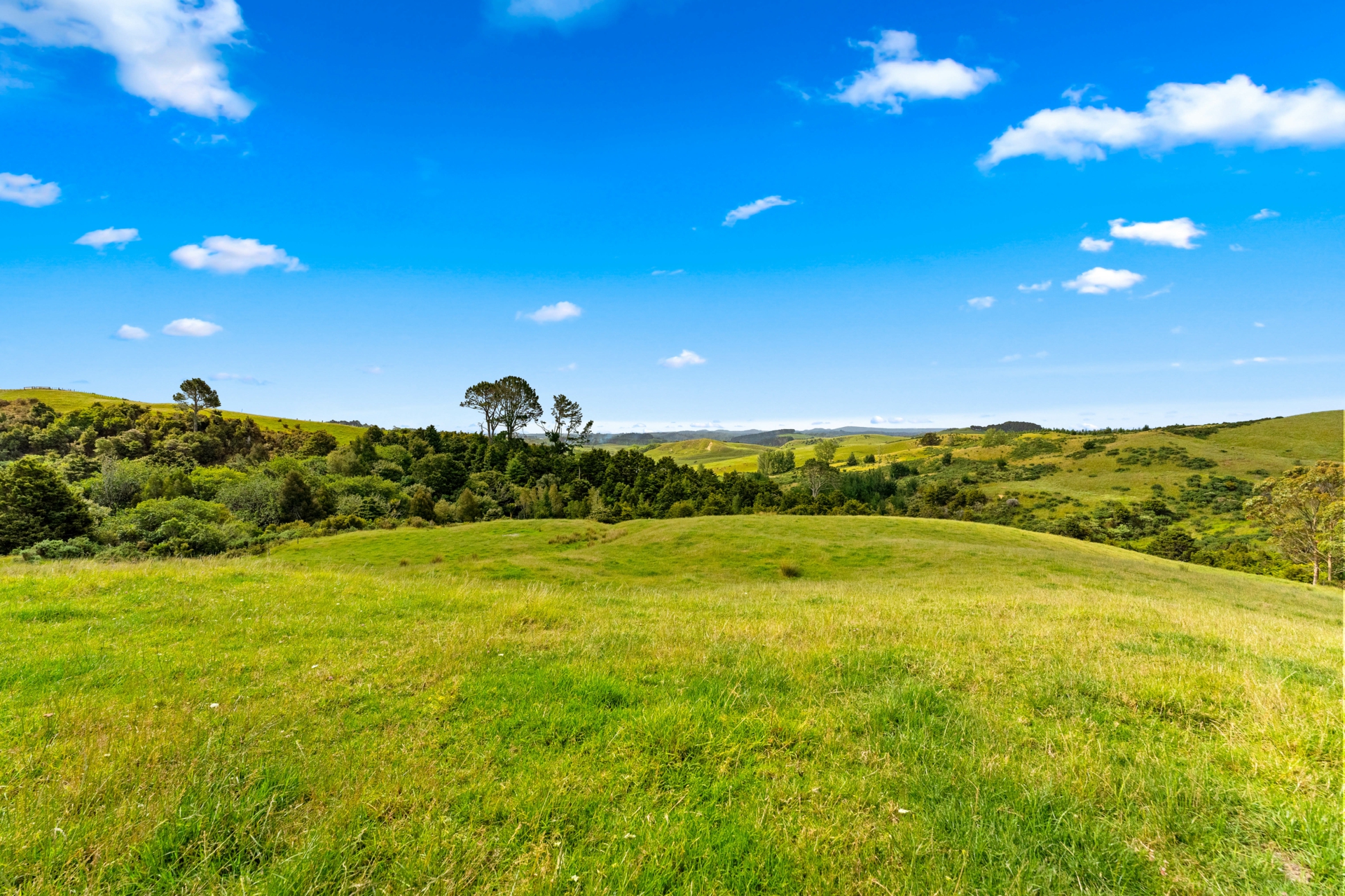 384 J V Grant Road, WELLSFORD
