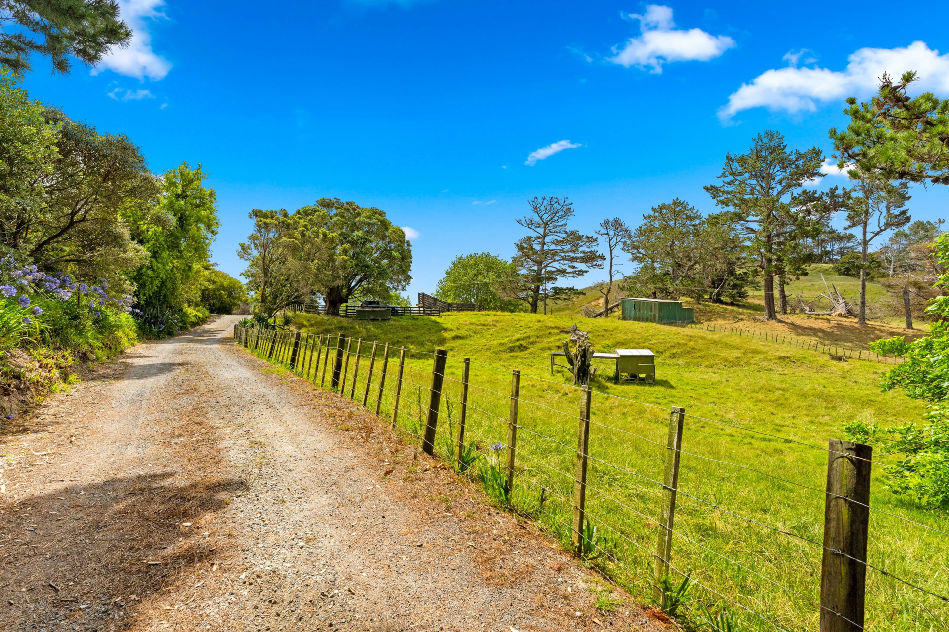 384 J V Grant Road, WELLSFORD