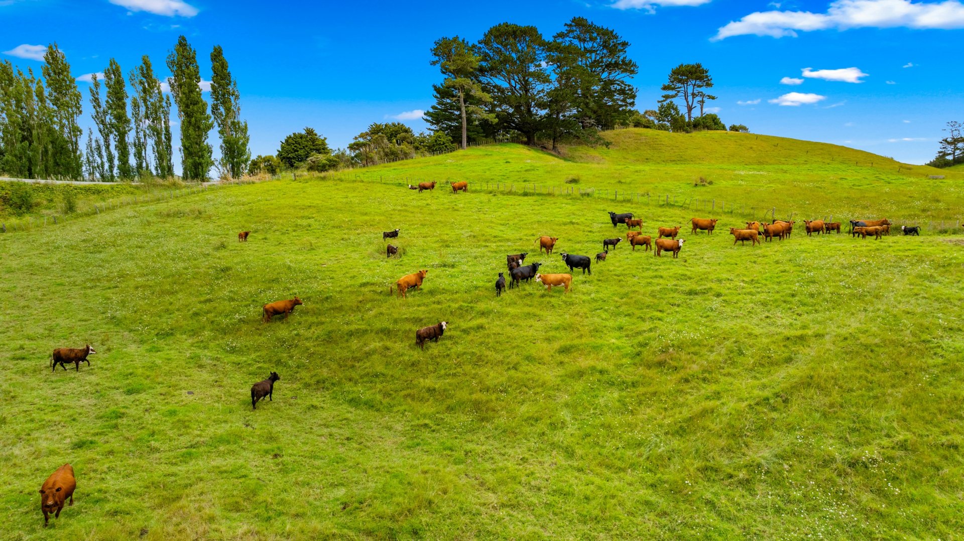 384 J V Grant Road, WELLSFORD