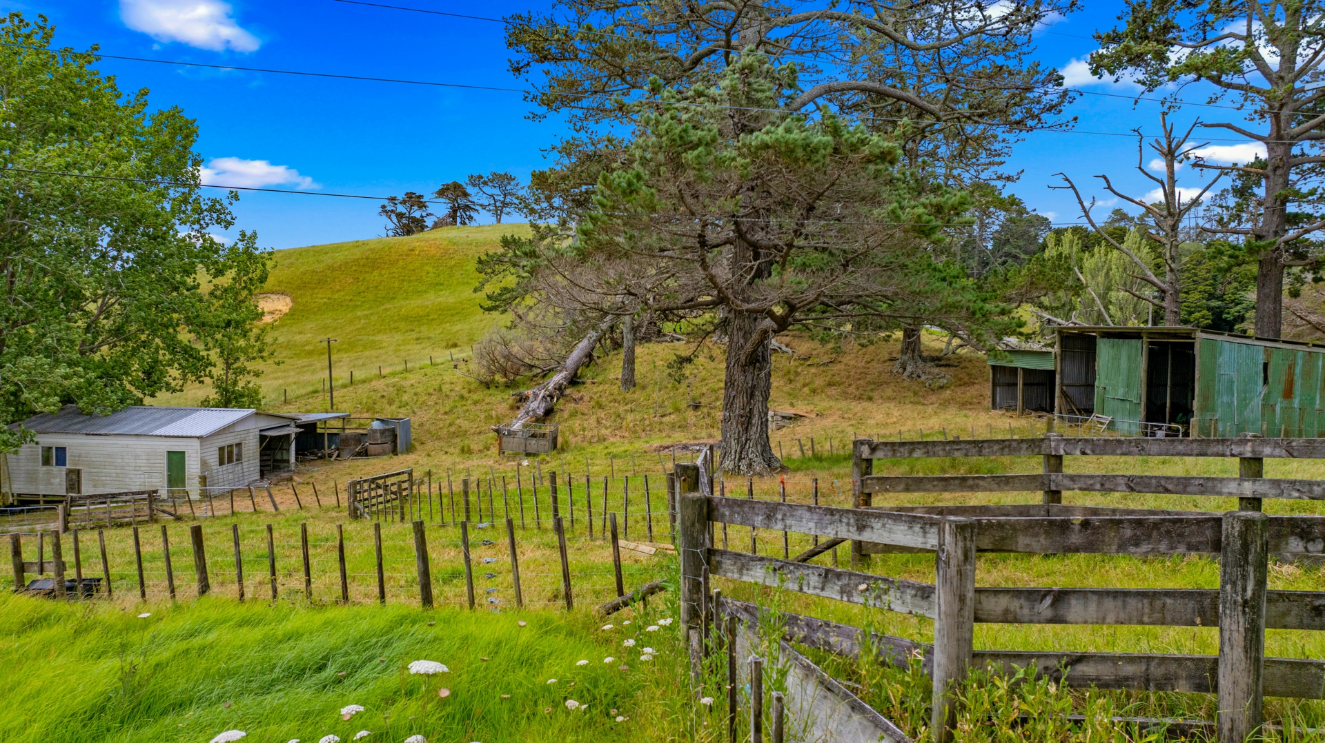 384 J V Grant Road, WELLSFORD
