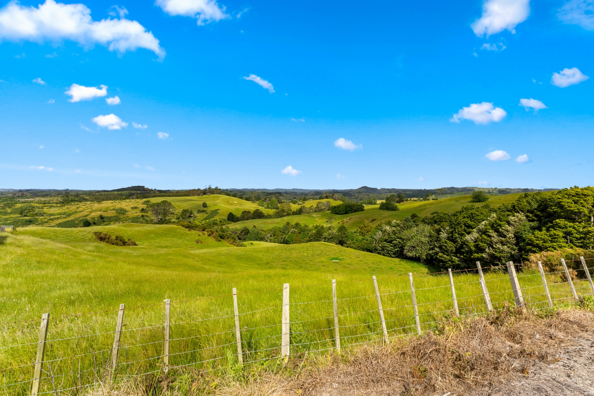 384 J V Grant Road, WELLSFORD