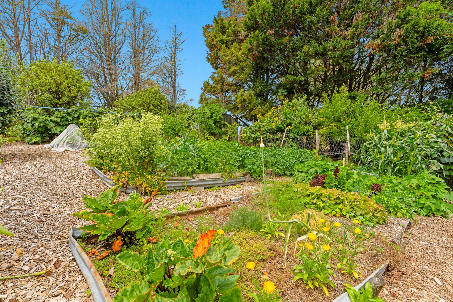 43 Settlement Road, KAIWAKA