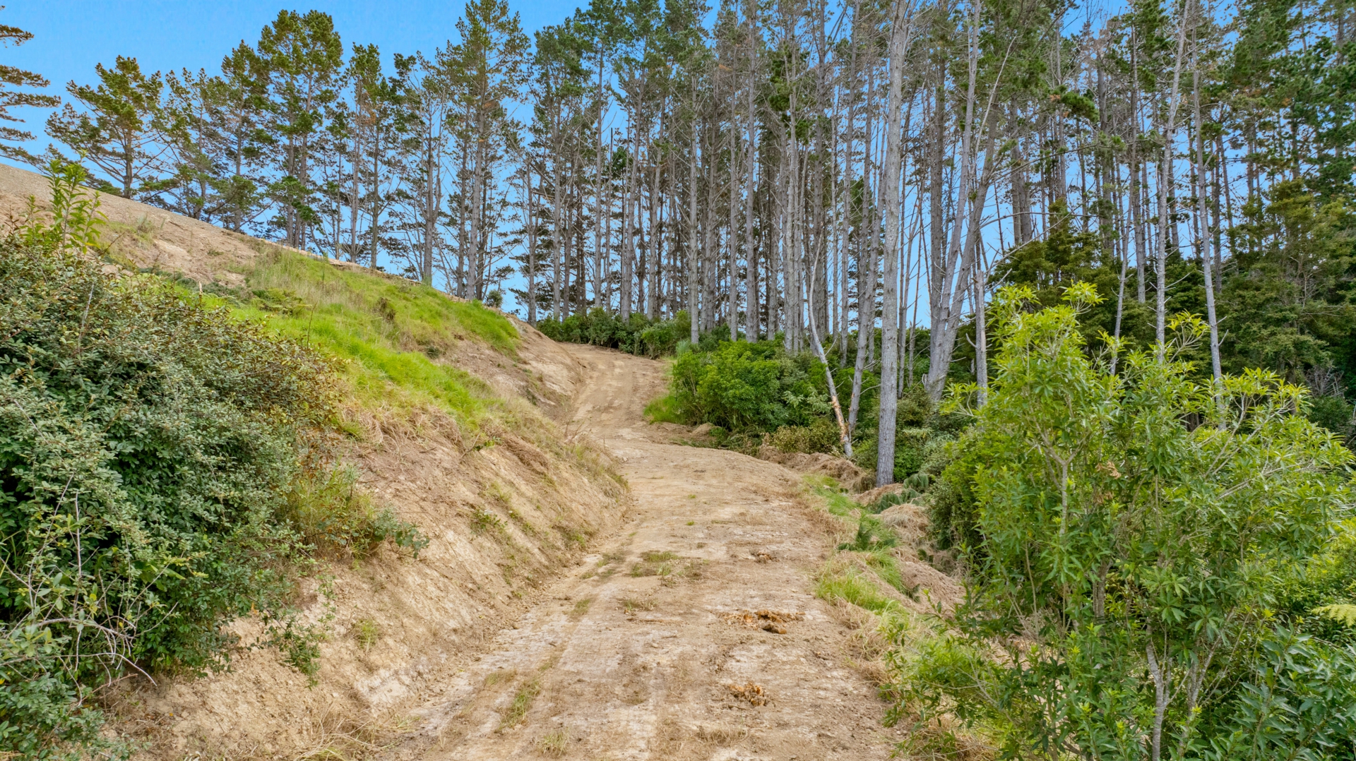 643 Bickerstaffe Road, MAUNGATUROTO