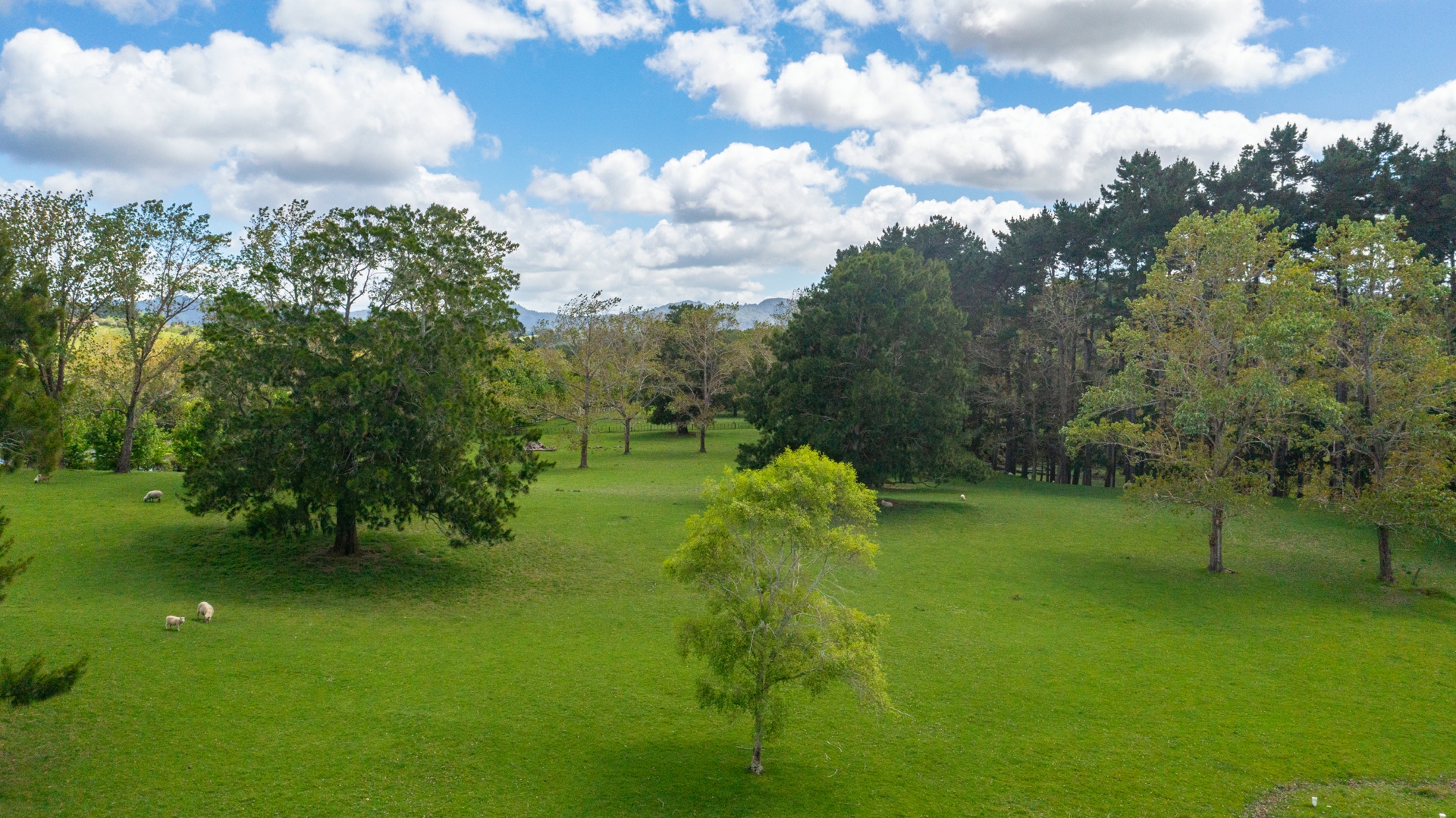 98 Perry Road, WARKWORTH