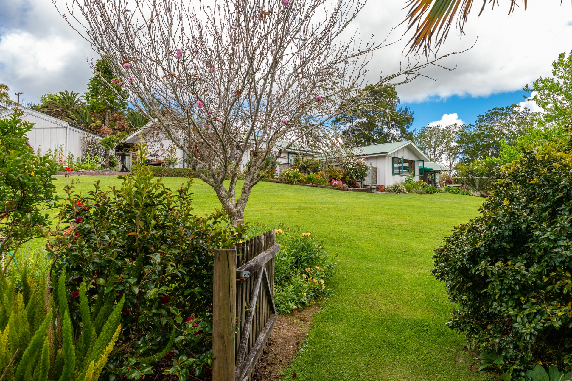98 Perry Road, WARKWORTH