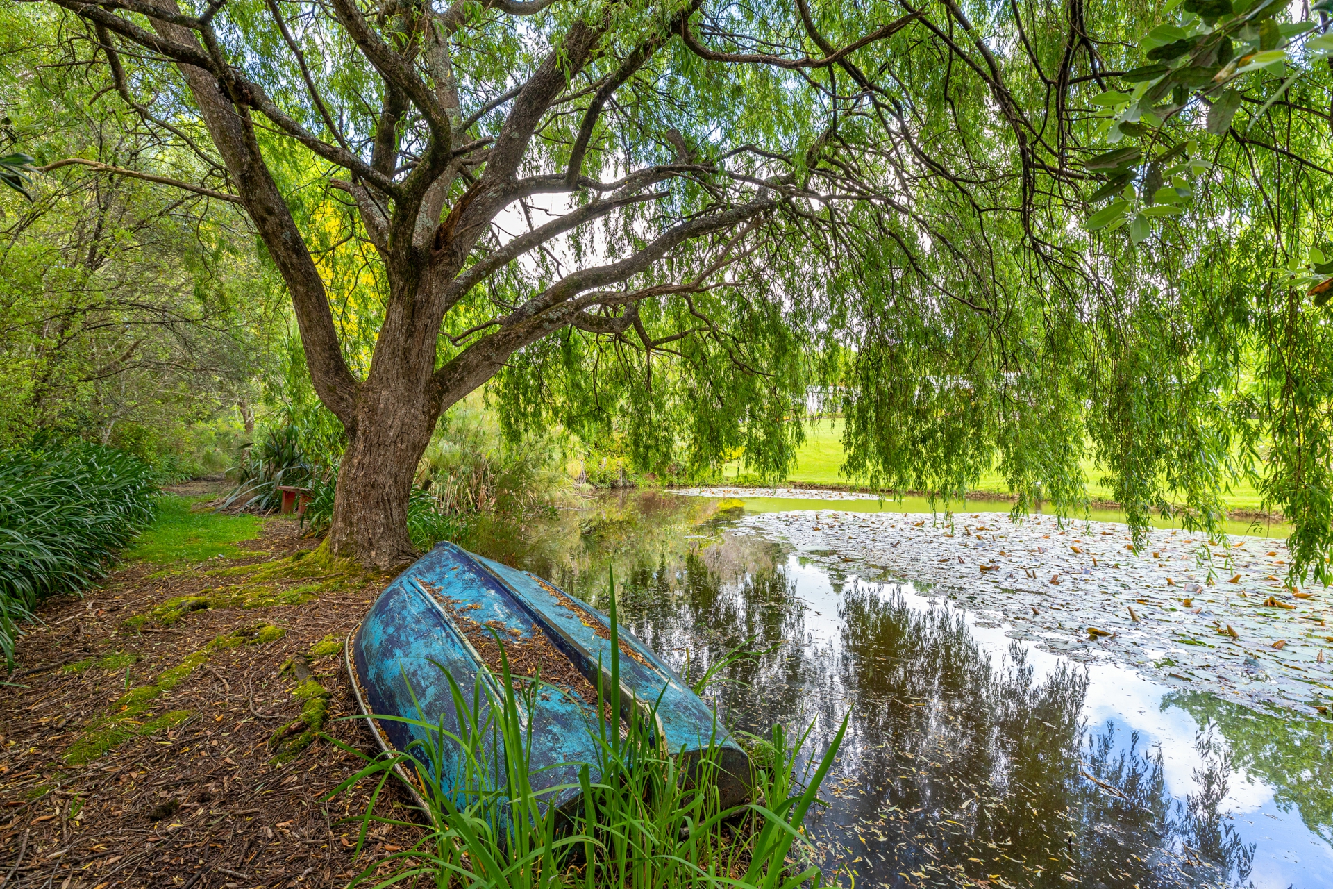 98 Perry Road, WARKWORTH