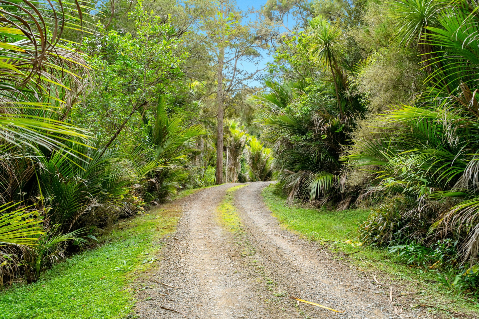 2395 State Highway 1, Brynderwyn,, KAIWAKA