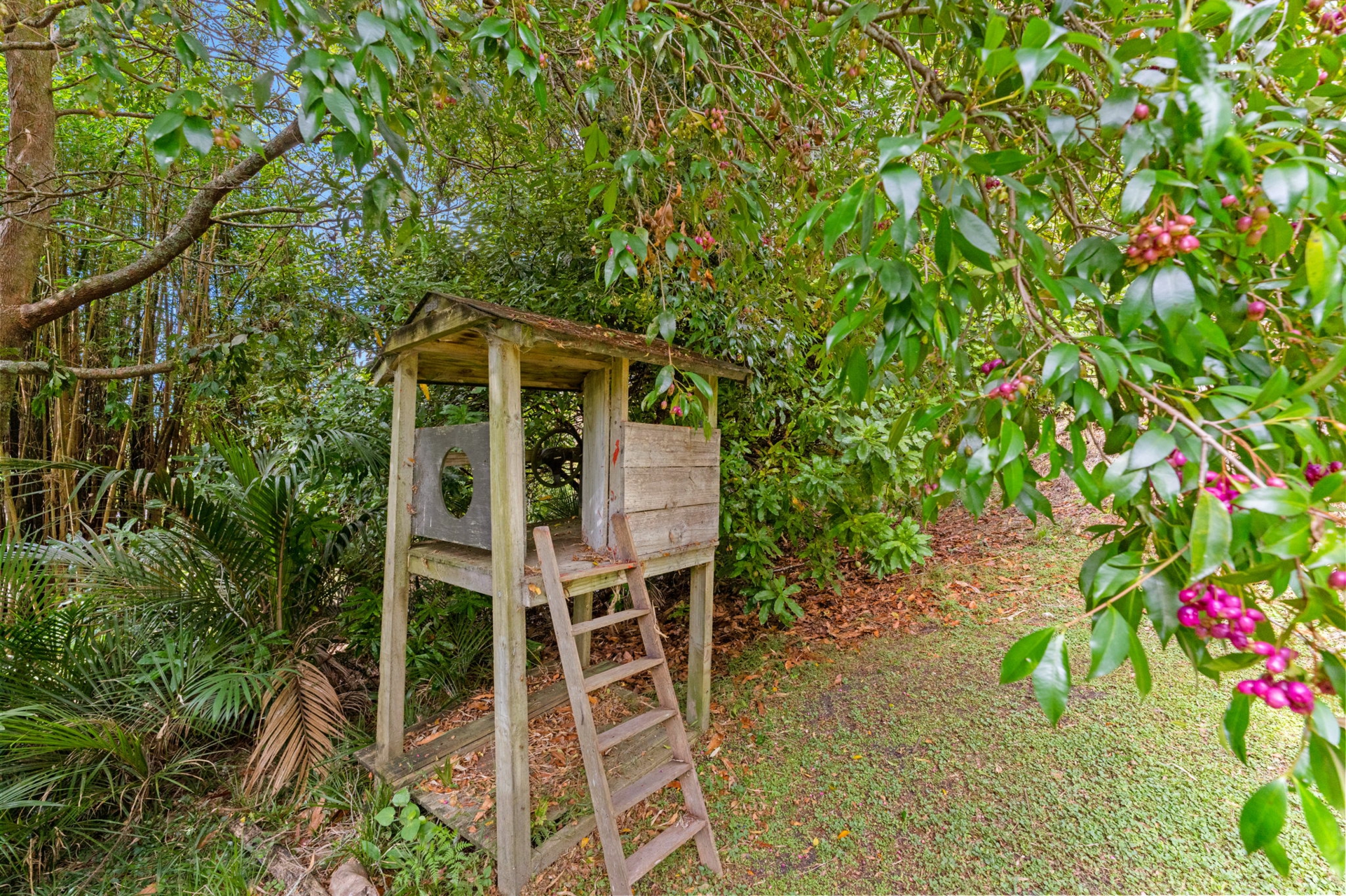 2395 State Highway 1, Brynderwyn,, KAIWAKA