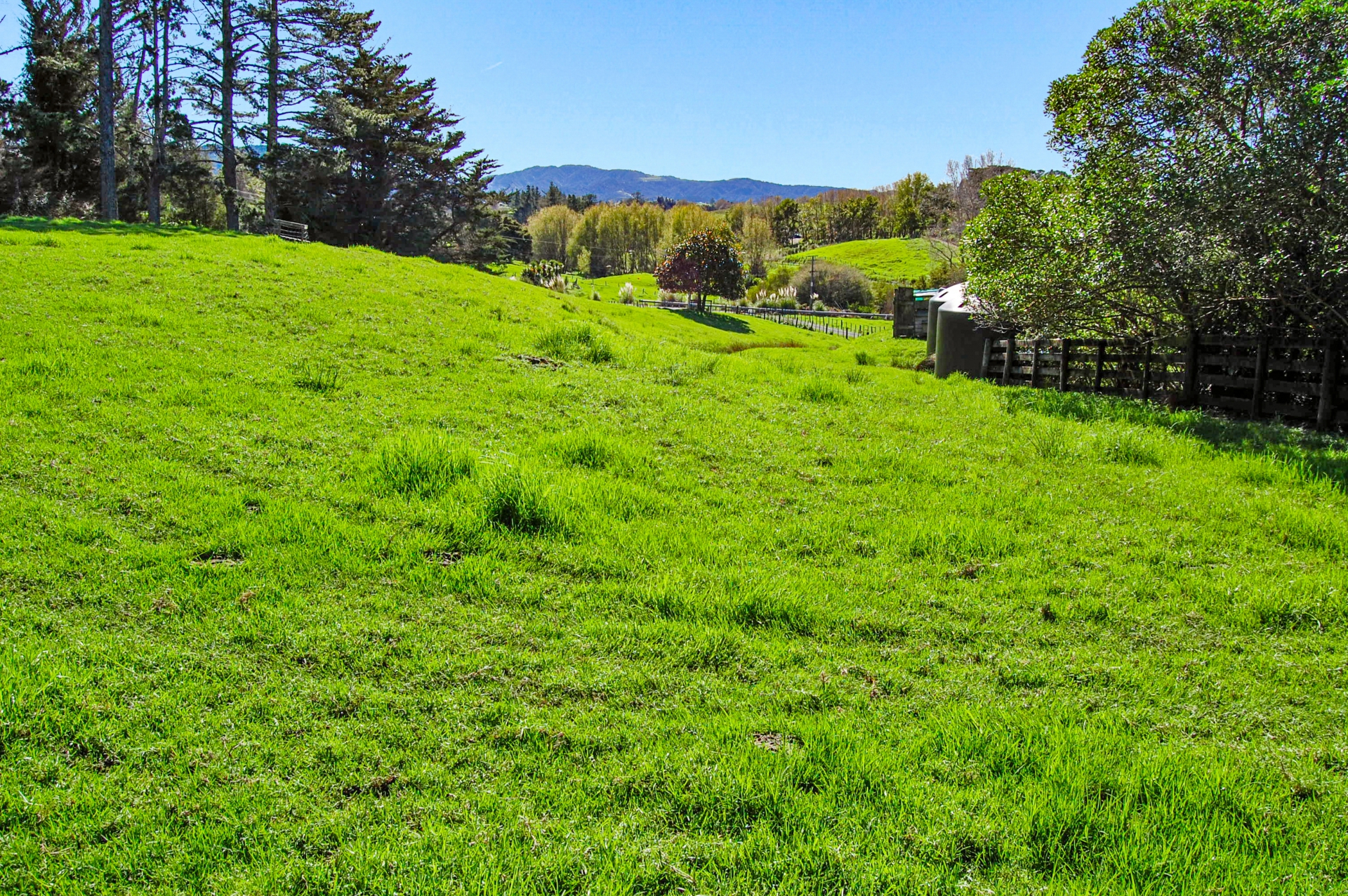 82 Settlement Road, KAIWAKA