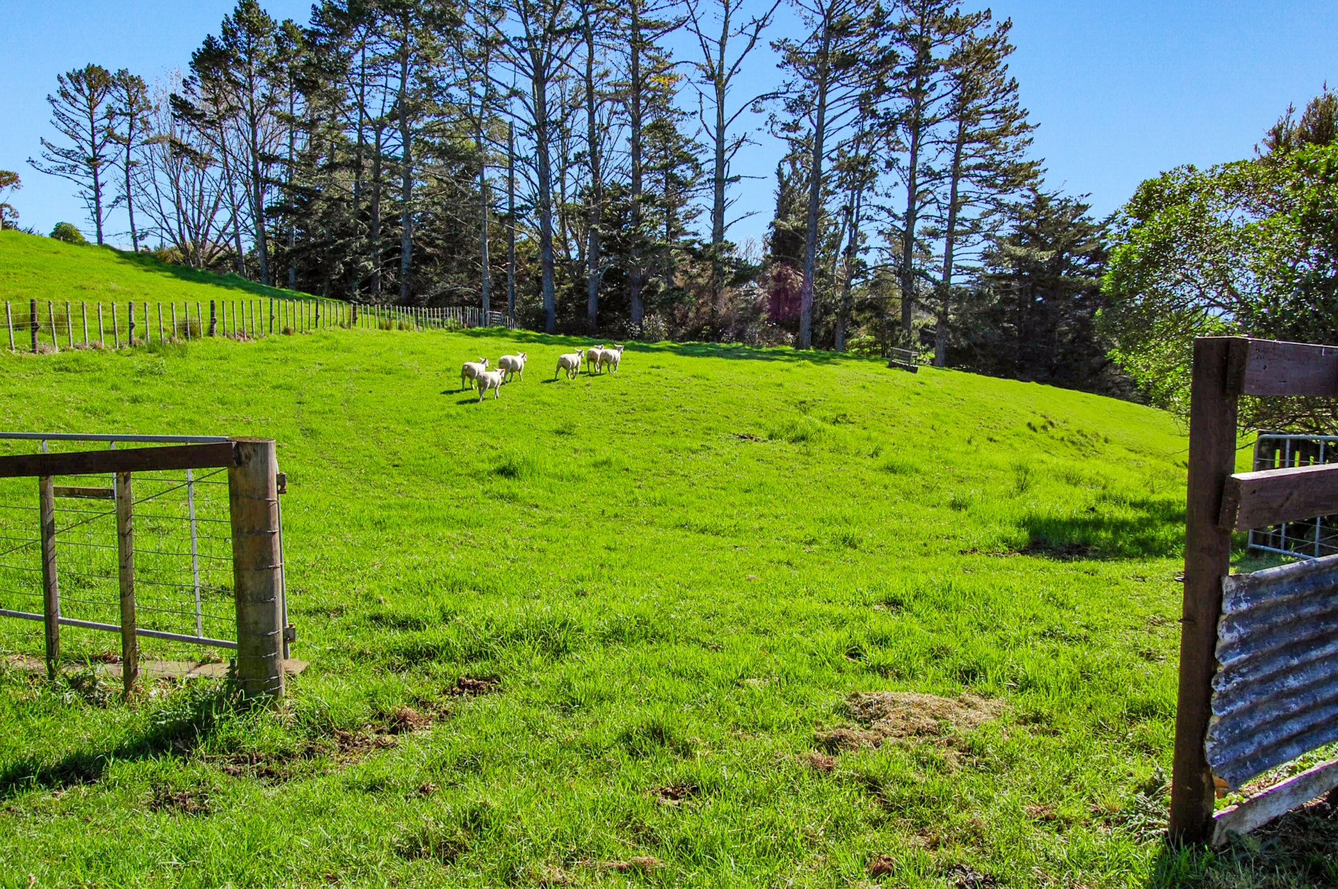 82 Settlement Road, KAIWAKA