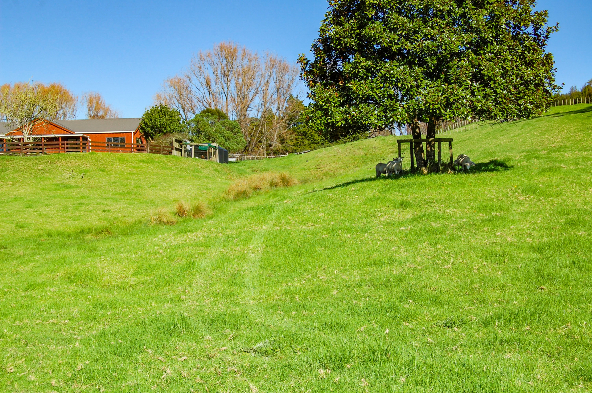 82 Settlement Road, KAIWAKA
