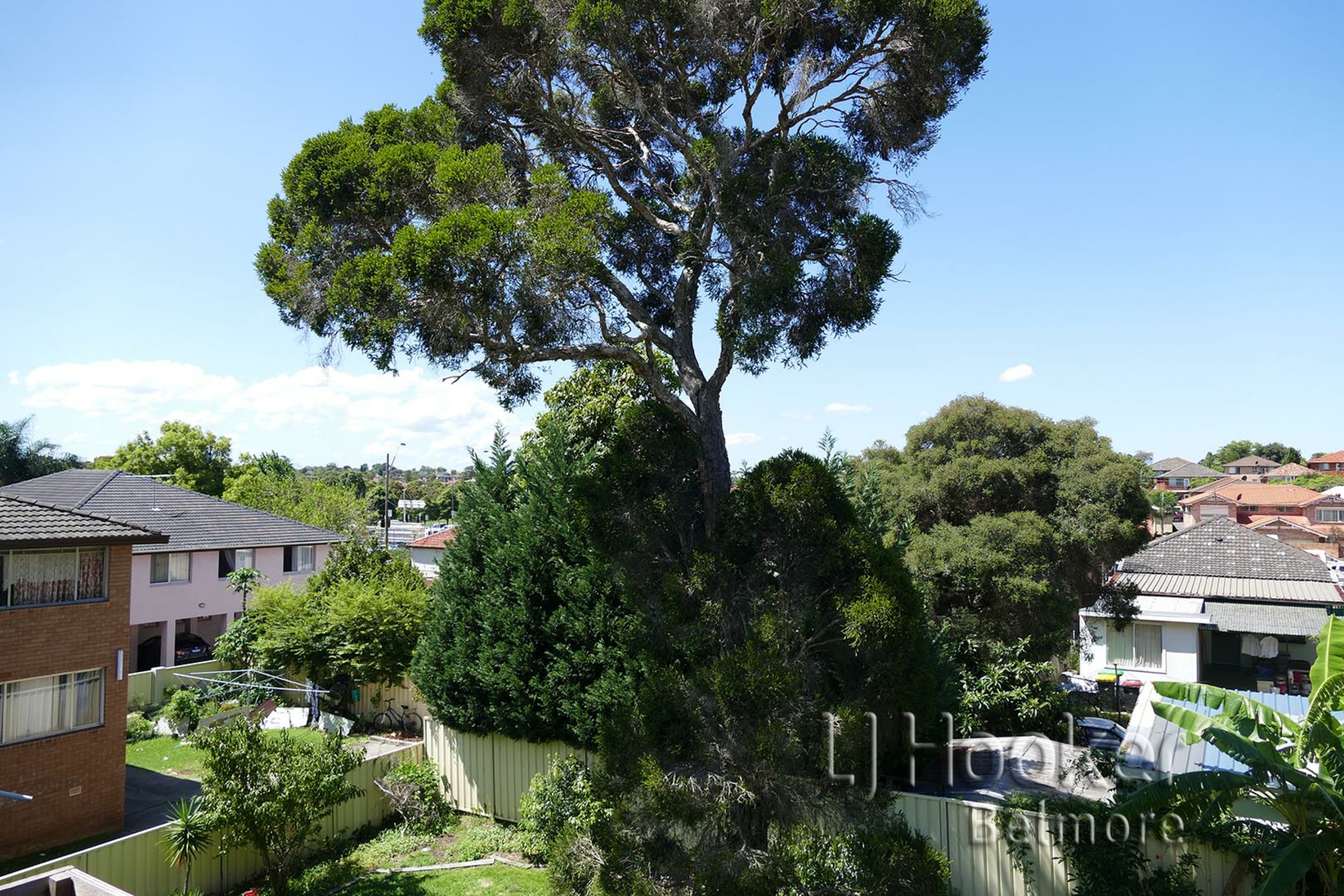 6/65 Shadforth Street, WILEY PARK