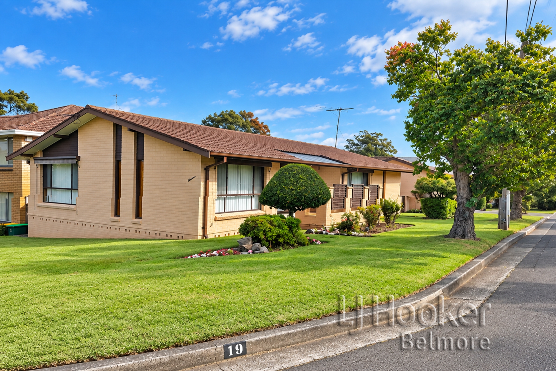 19 Raymond Avenue — photo from LJ Hooker Belmore