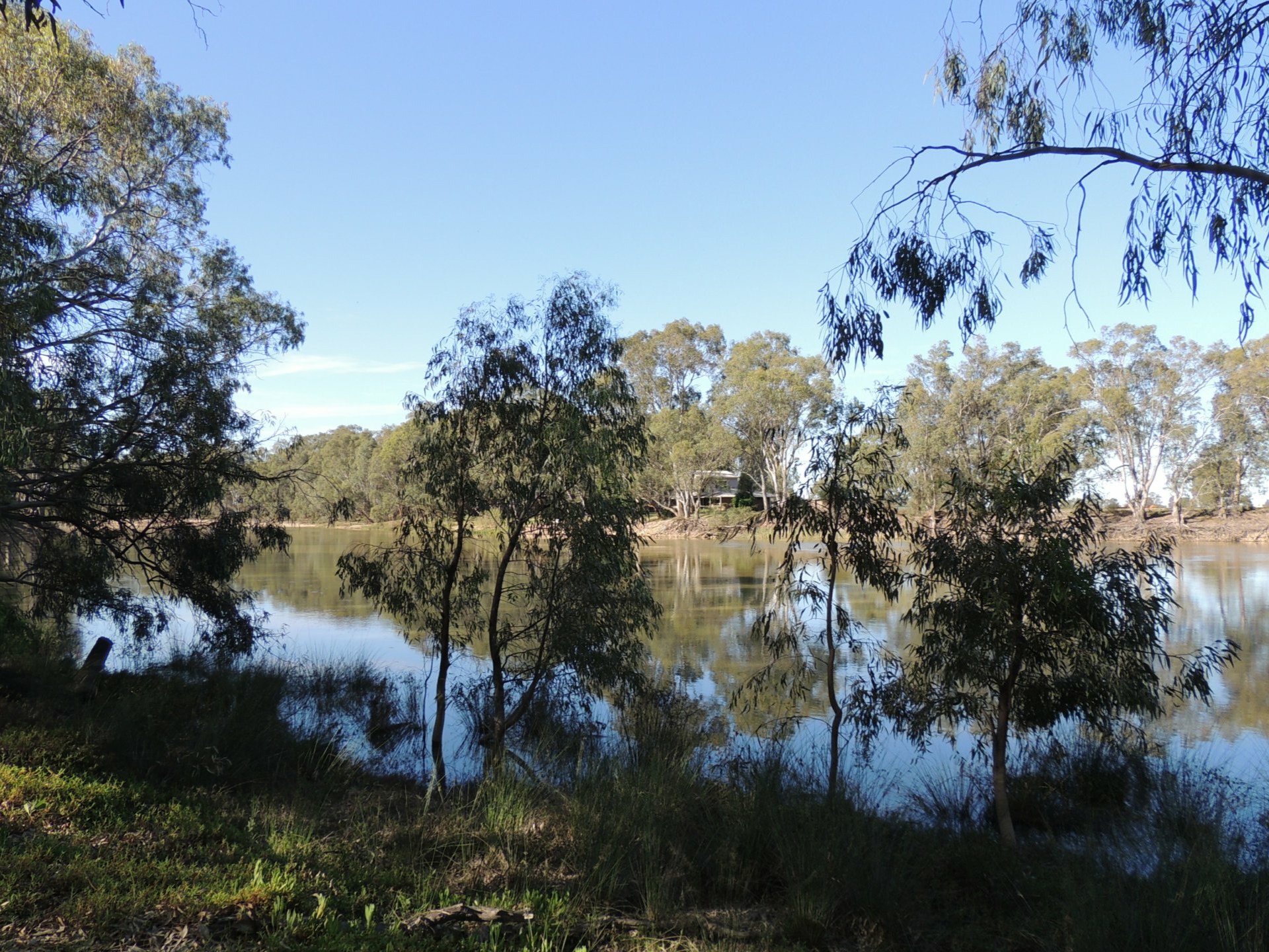 Unit 3/6 Milloo Street Swan Hill VIC Property Details LJ Hooker