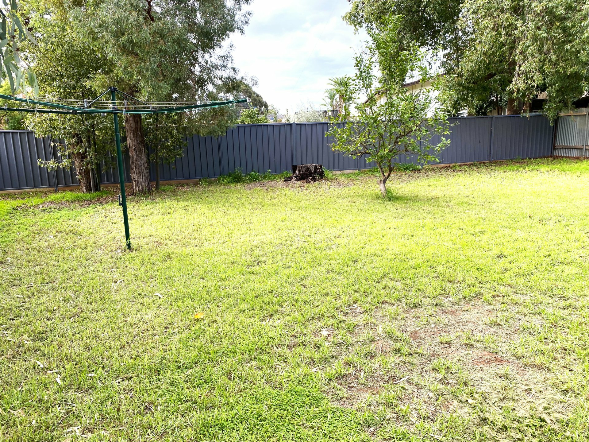 12 Long Street, SWAN HILL
