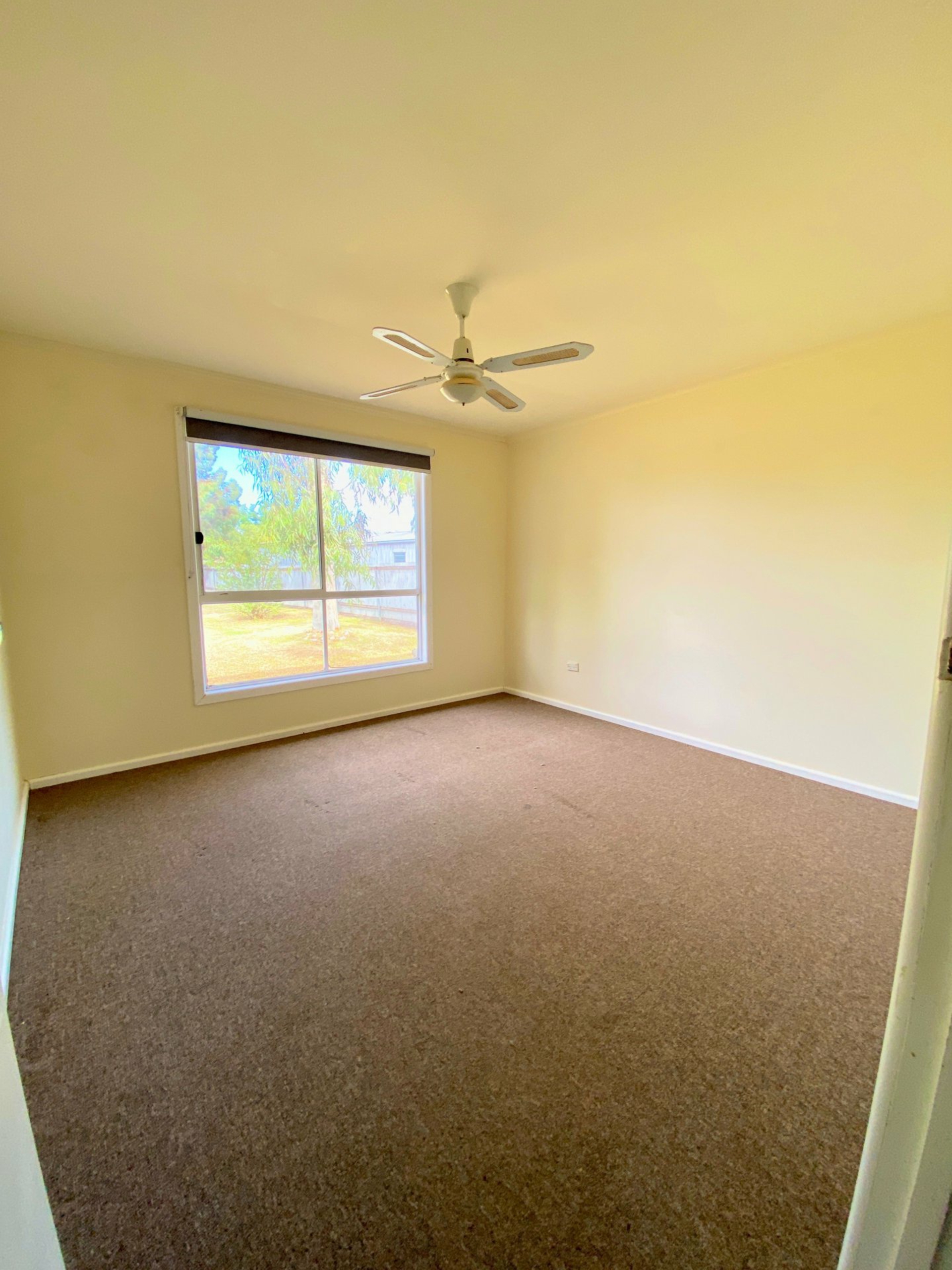 5 Tyrrell Street, LAKE BOGA