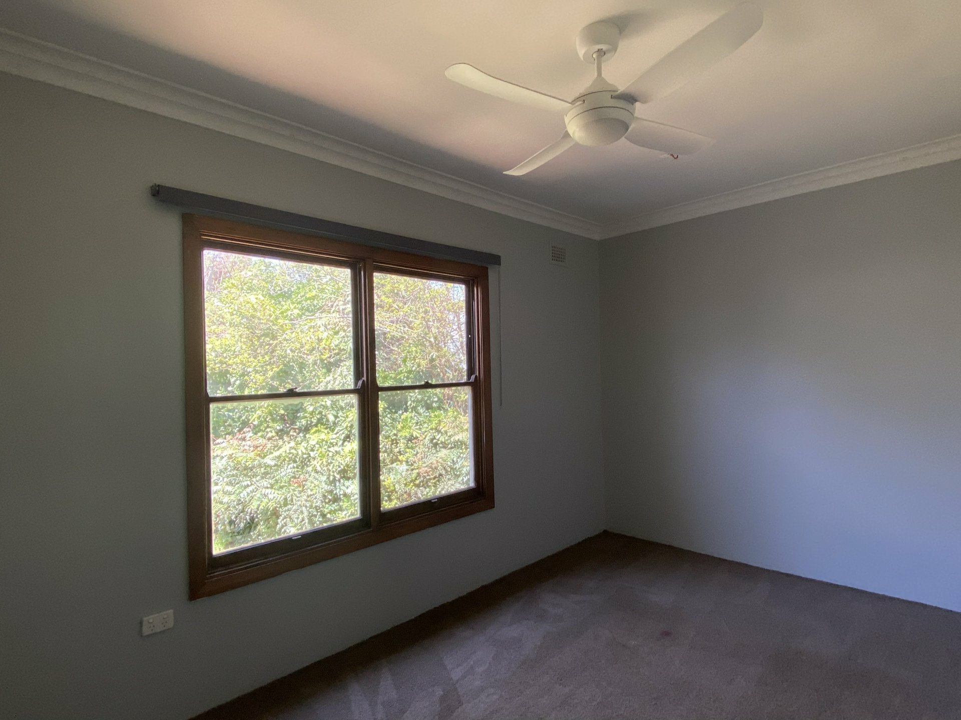 66 Whylandra Street — photo 7 of 12