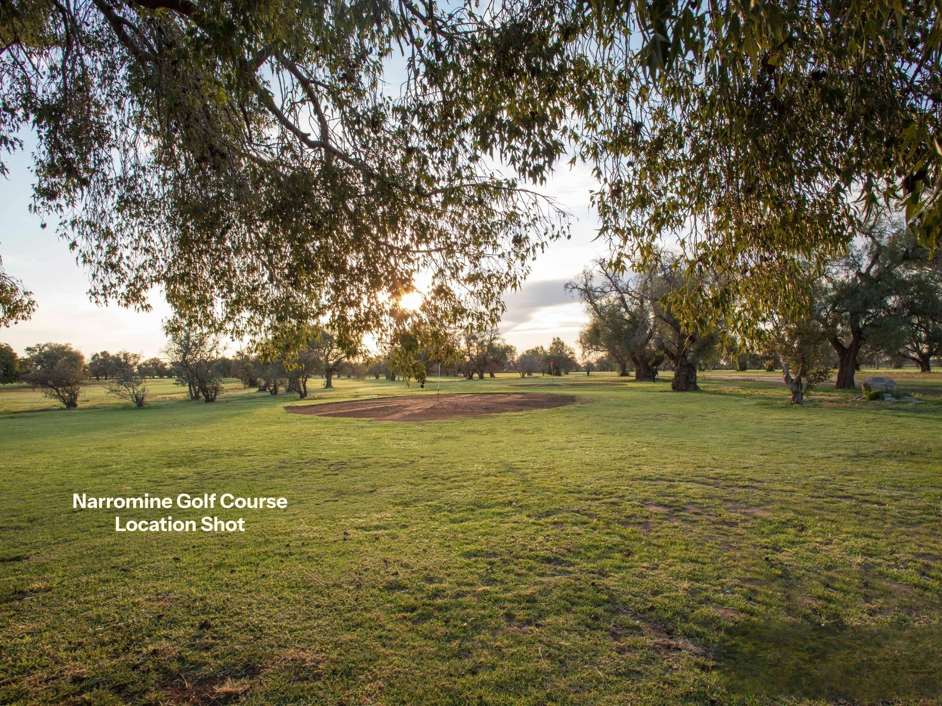 5 Nancy Bird Walton Drive — photo 3 of 9