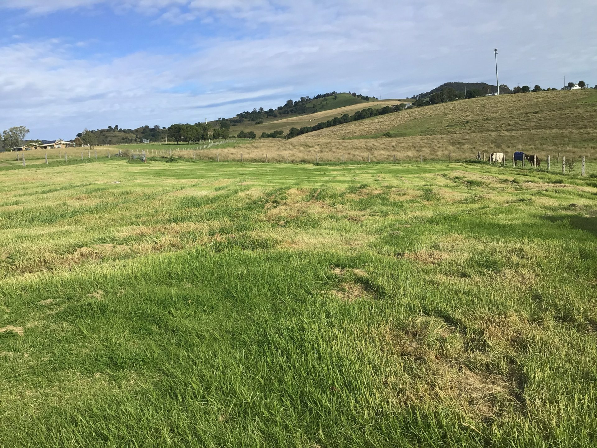 3542 Border Road Killarney QLD Property Details LJ Hooker