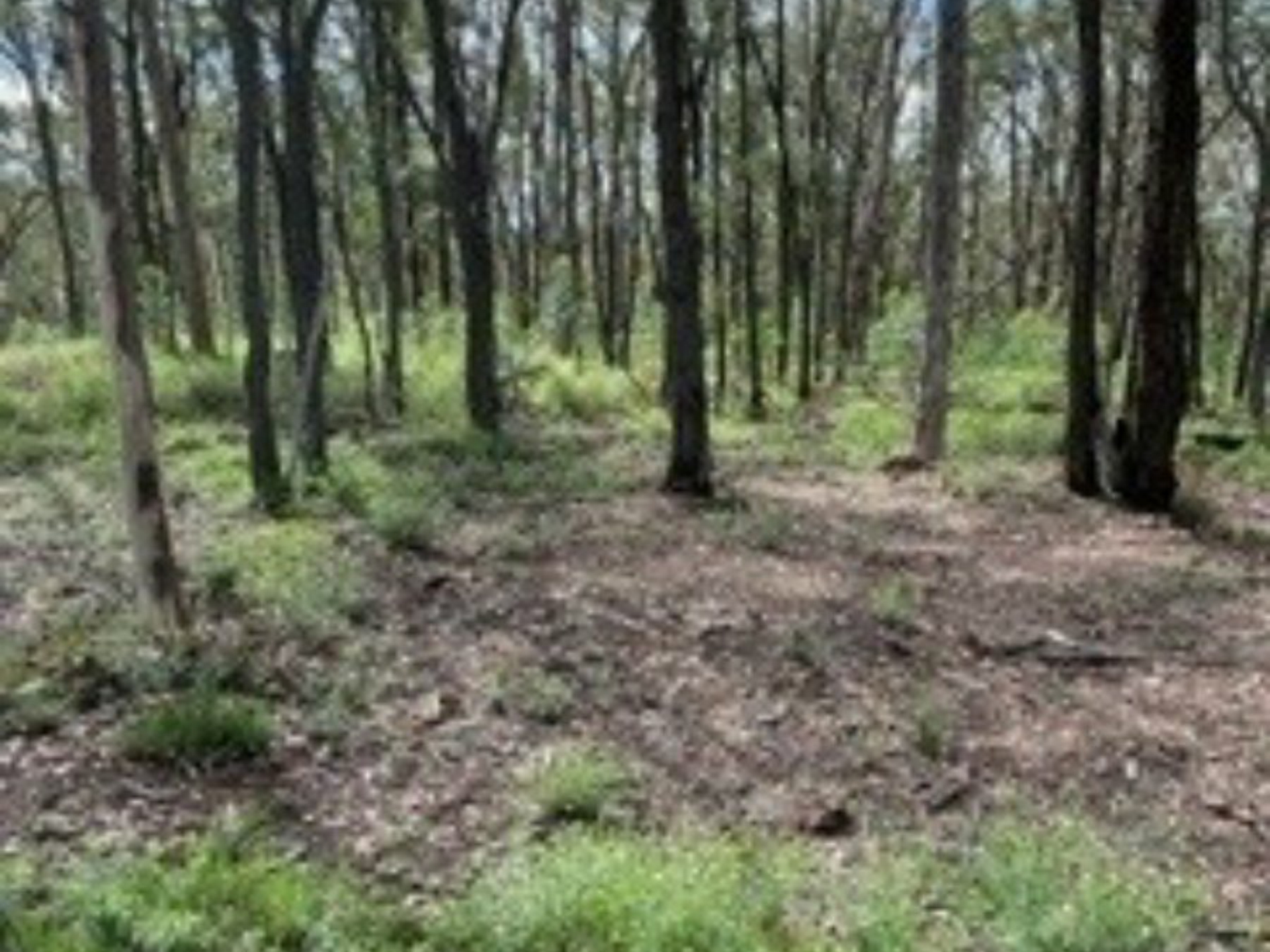 Lot 137 Old Thanes Creek Road Thanes Creek QLD Property Details LJ