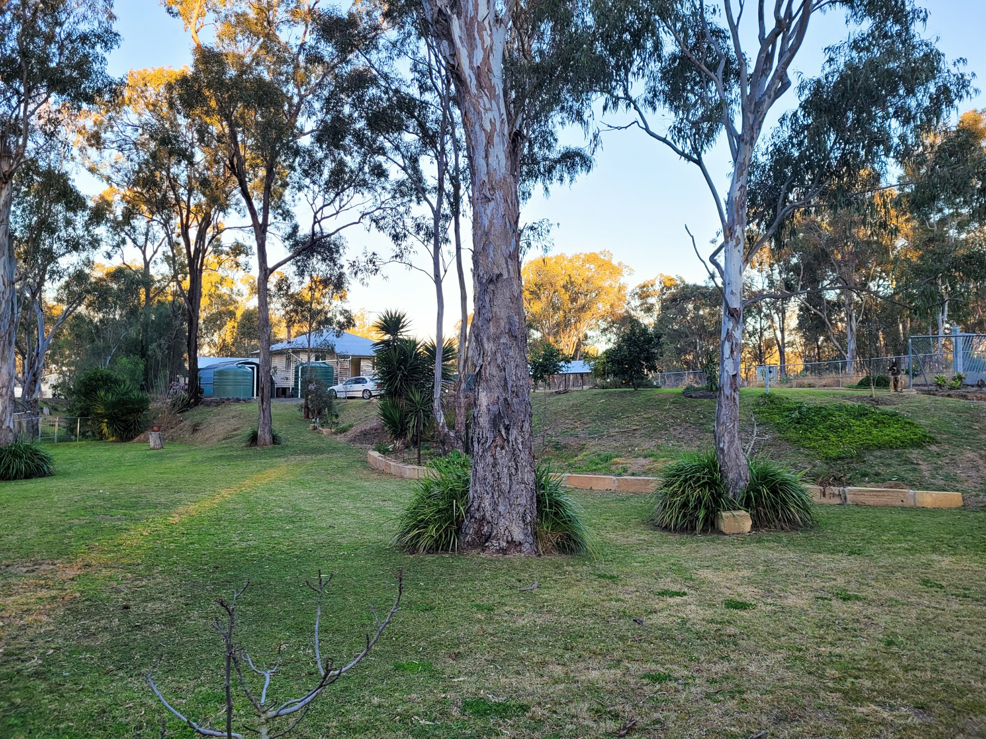 41 Lester Street, PRATTEN