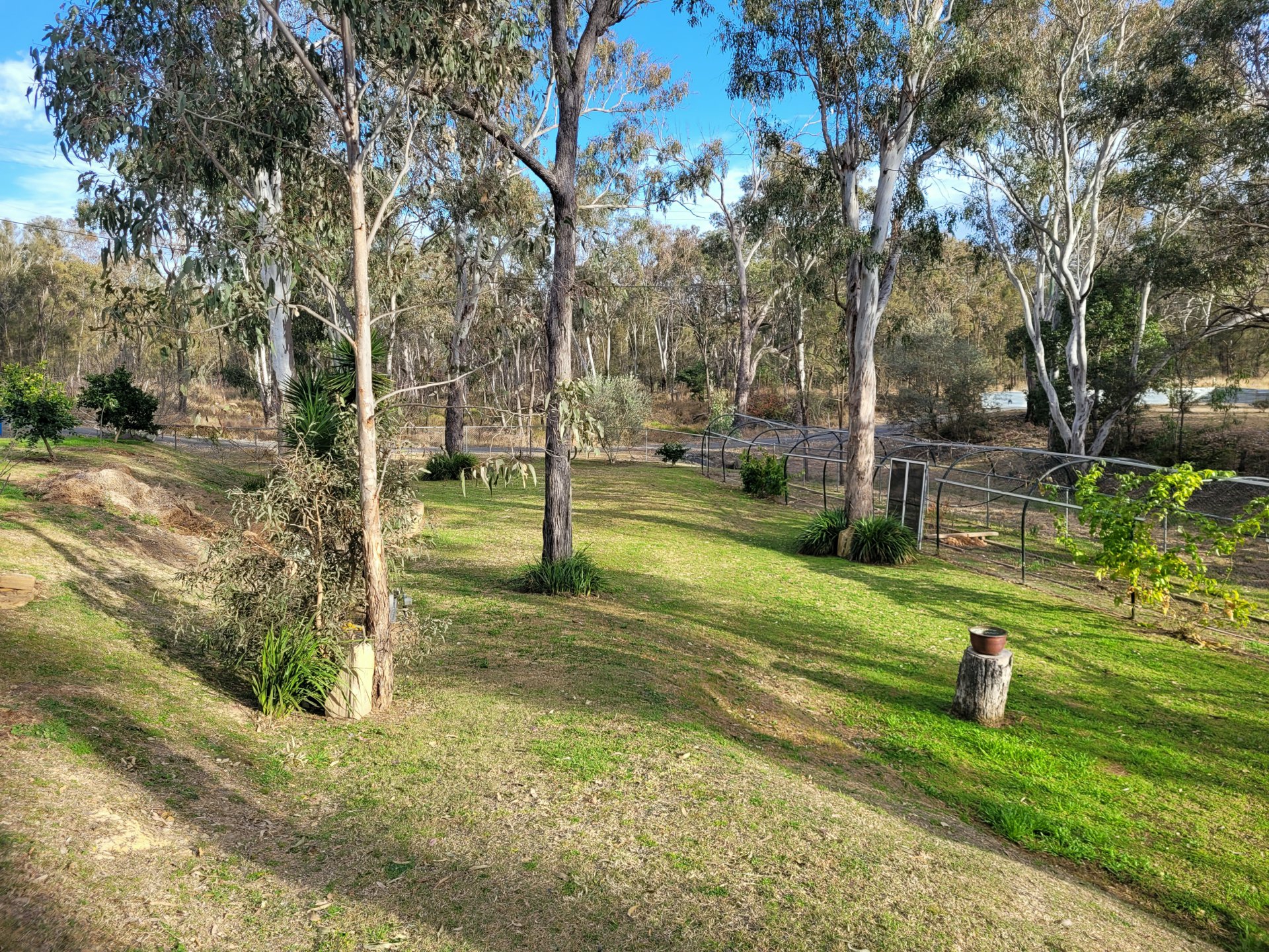 41 Lester Street, PRATTEN