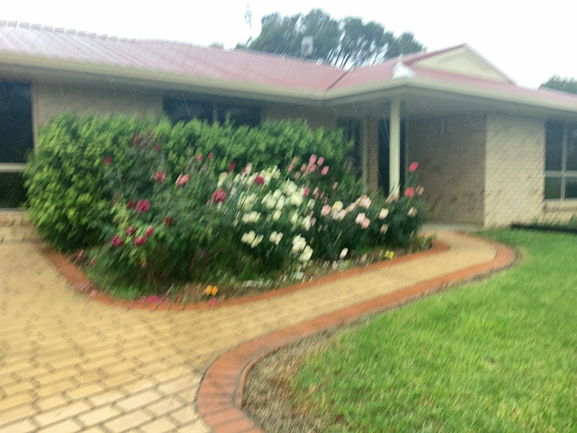 29 Peace Street — photo 18 of 21