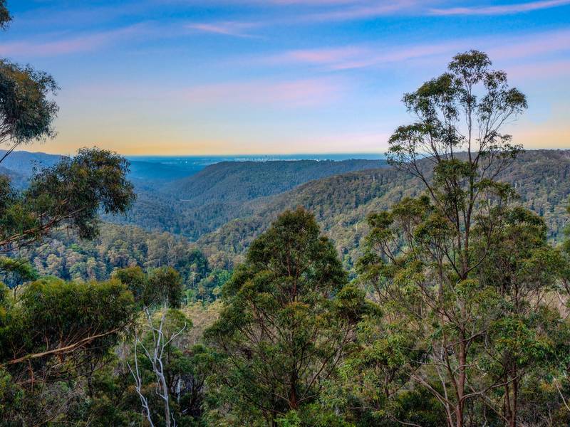 4 Gwongorella Parade, SPRINGBROOK