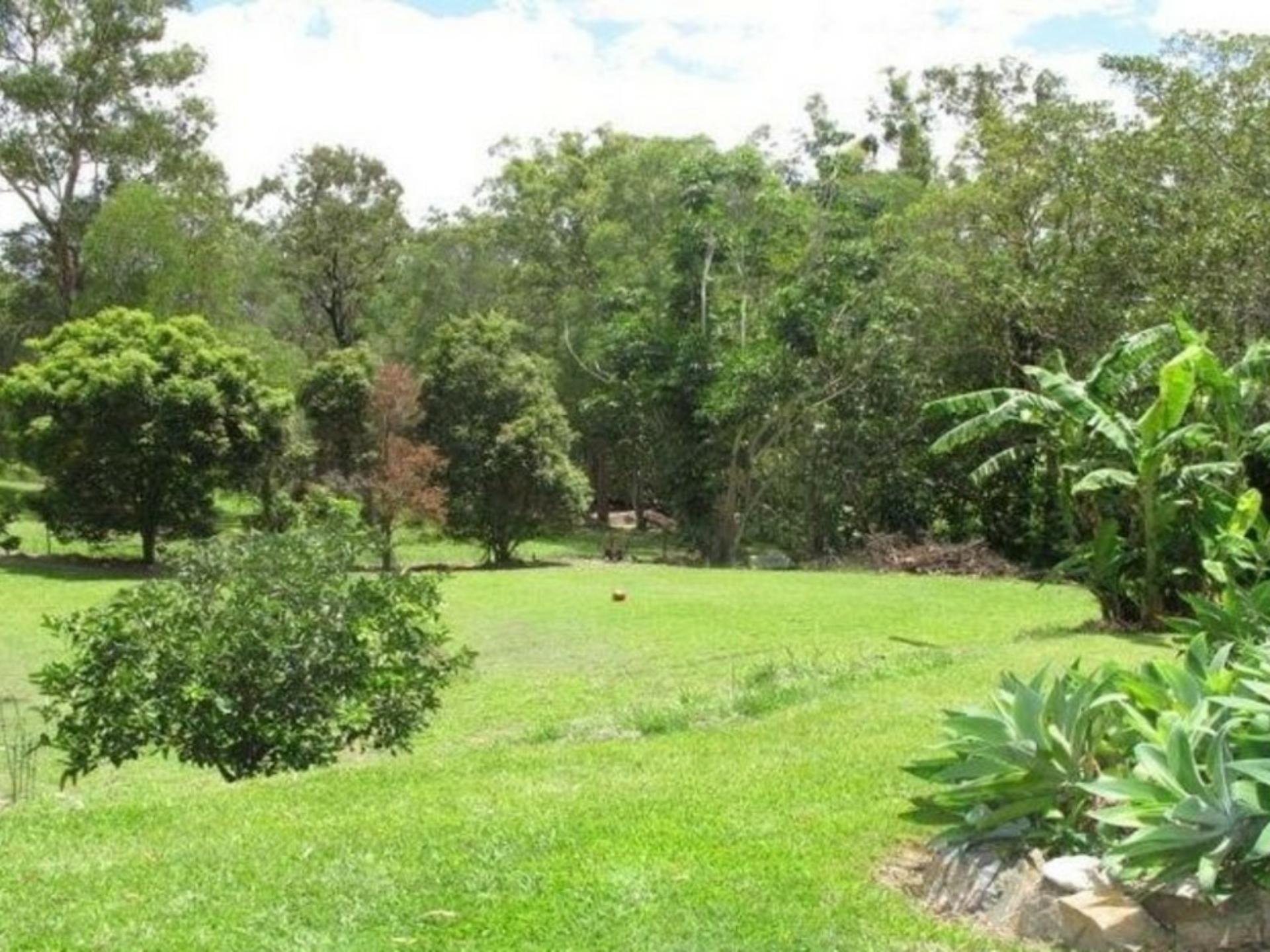 55 Tallai Road, TALLAI