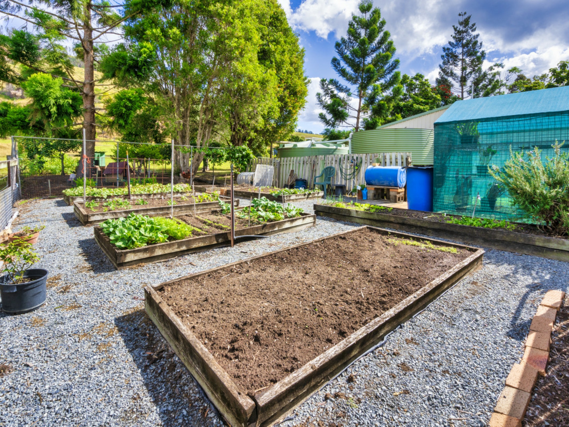 548 Illinbah Road, CANUNGRA
