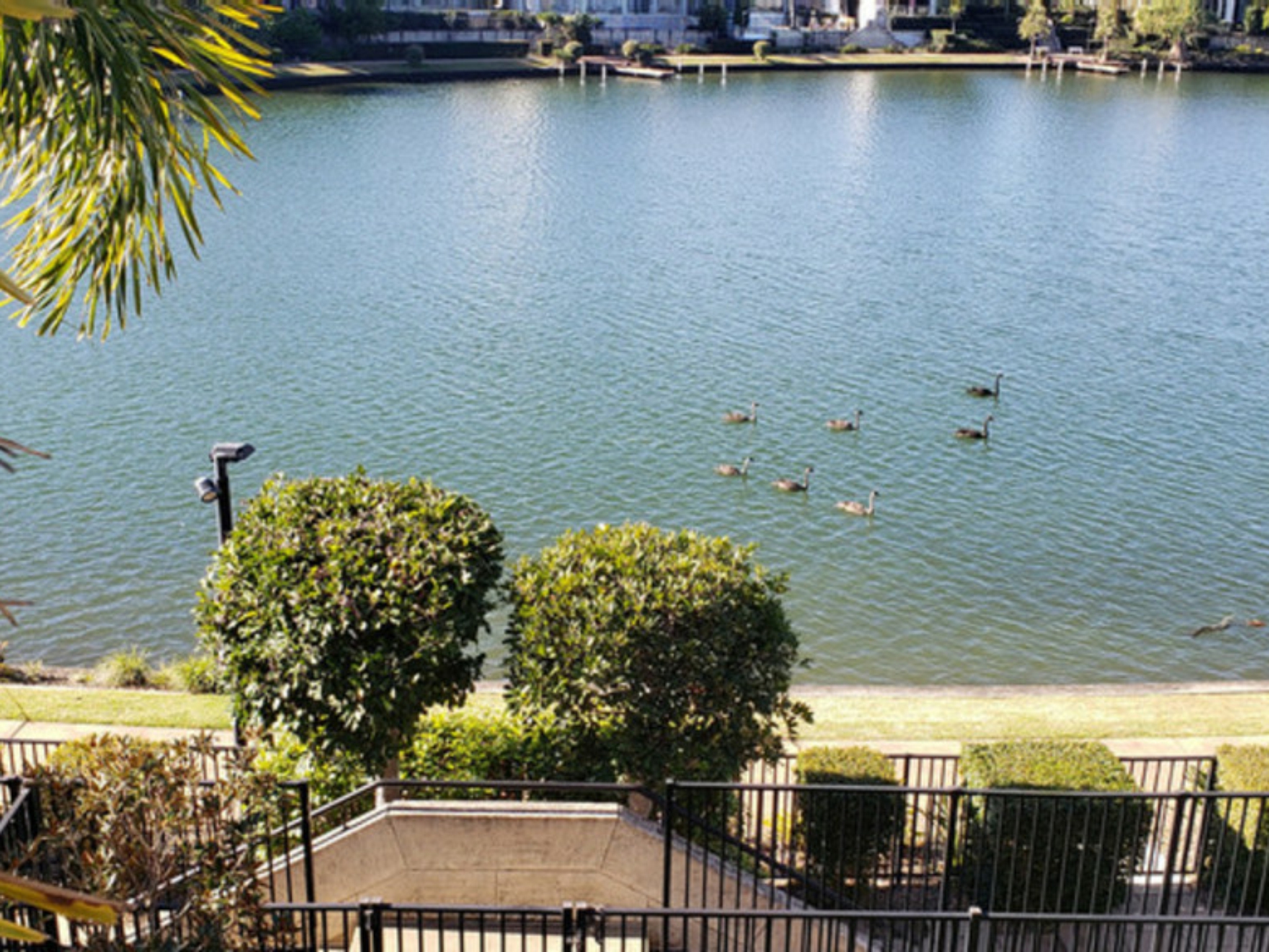 2/5021 Emerald Island Drive, CARRARA