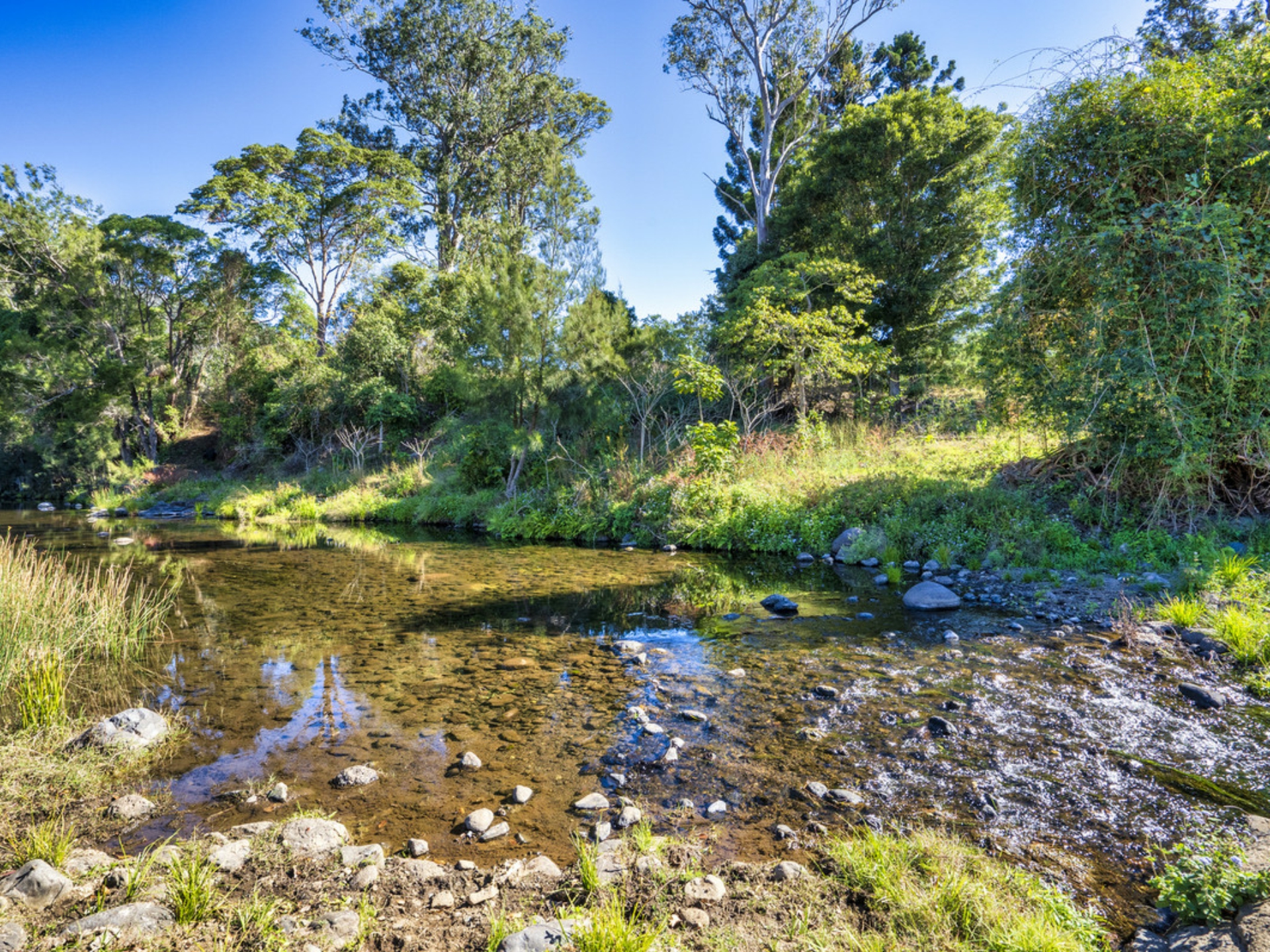 498 Sarabah Road, CANUNGRA