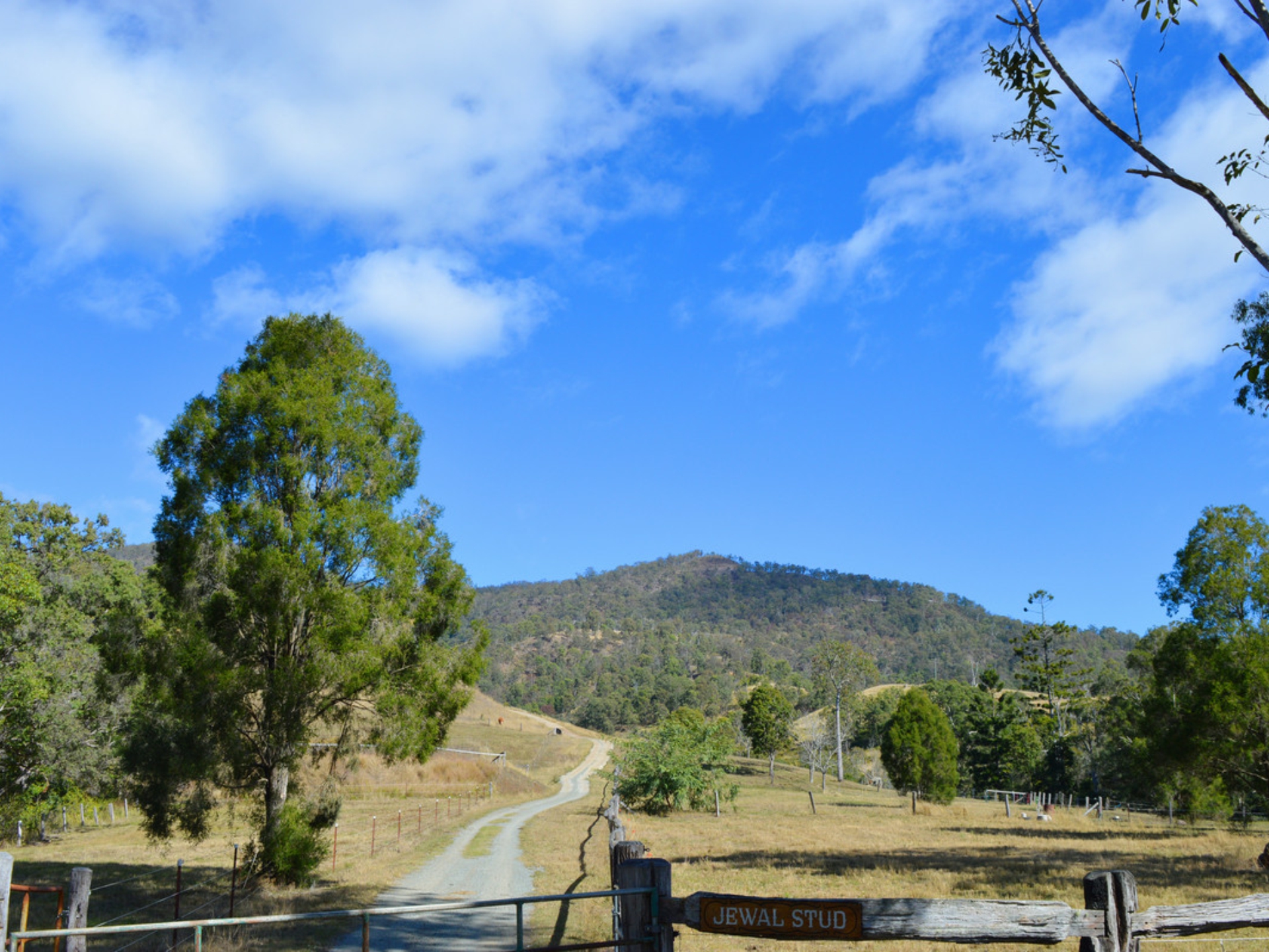 498 Sarabah Road, CANUNGRA