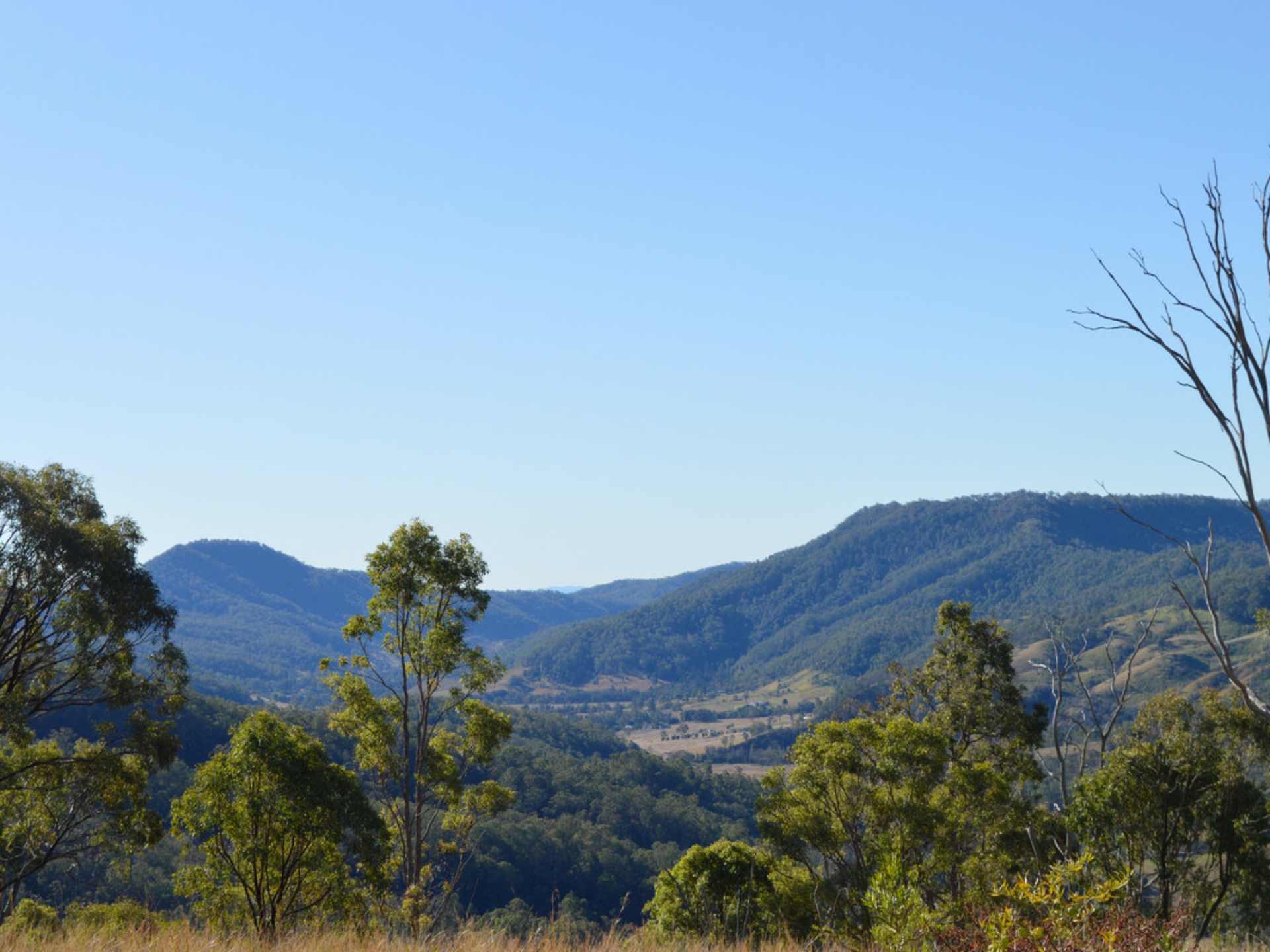 498 Sarabah Road, CANUNGRA